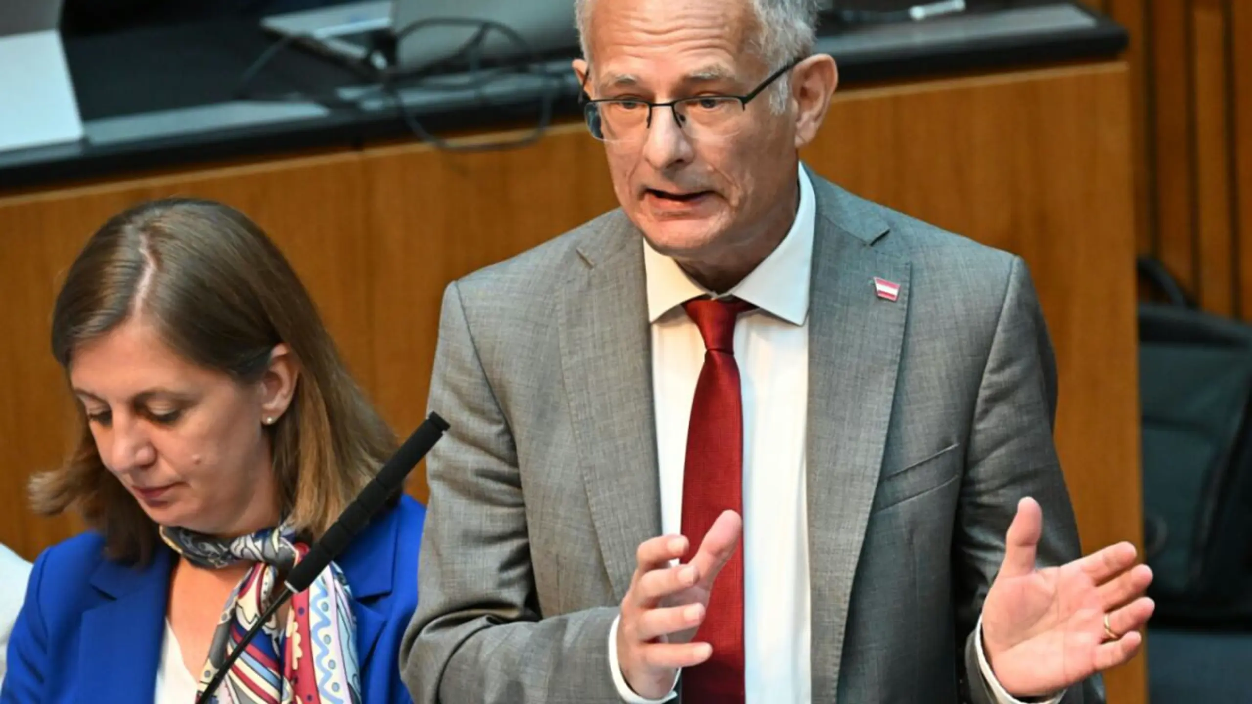 © APA/APA/HELMUT FOHRINGER/HELMUT FOHRINGER Marterbauer referierte ausführlich