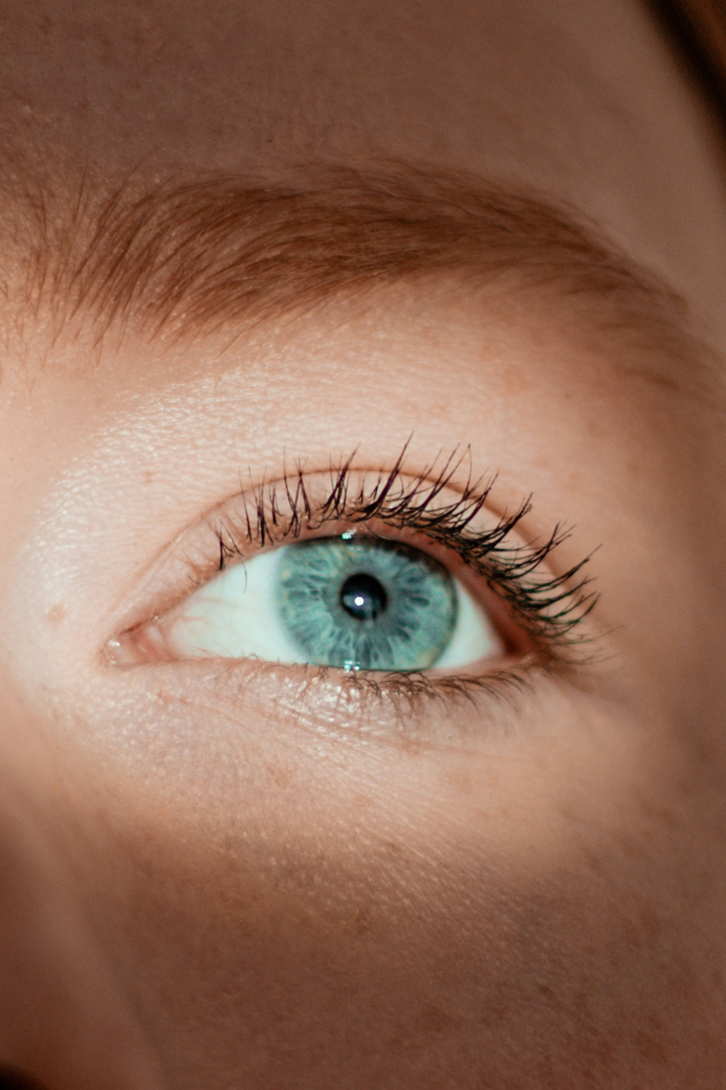 Close-up Auge