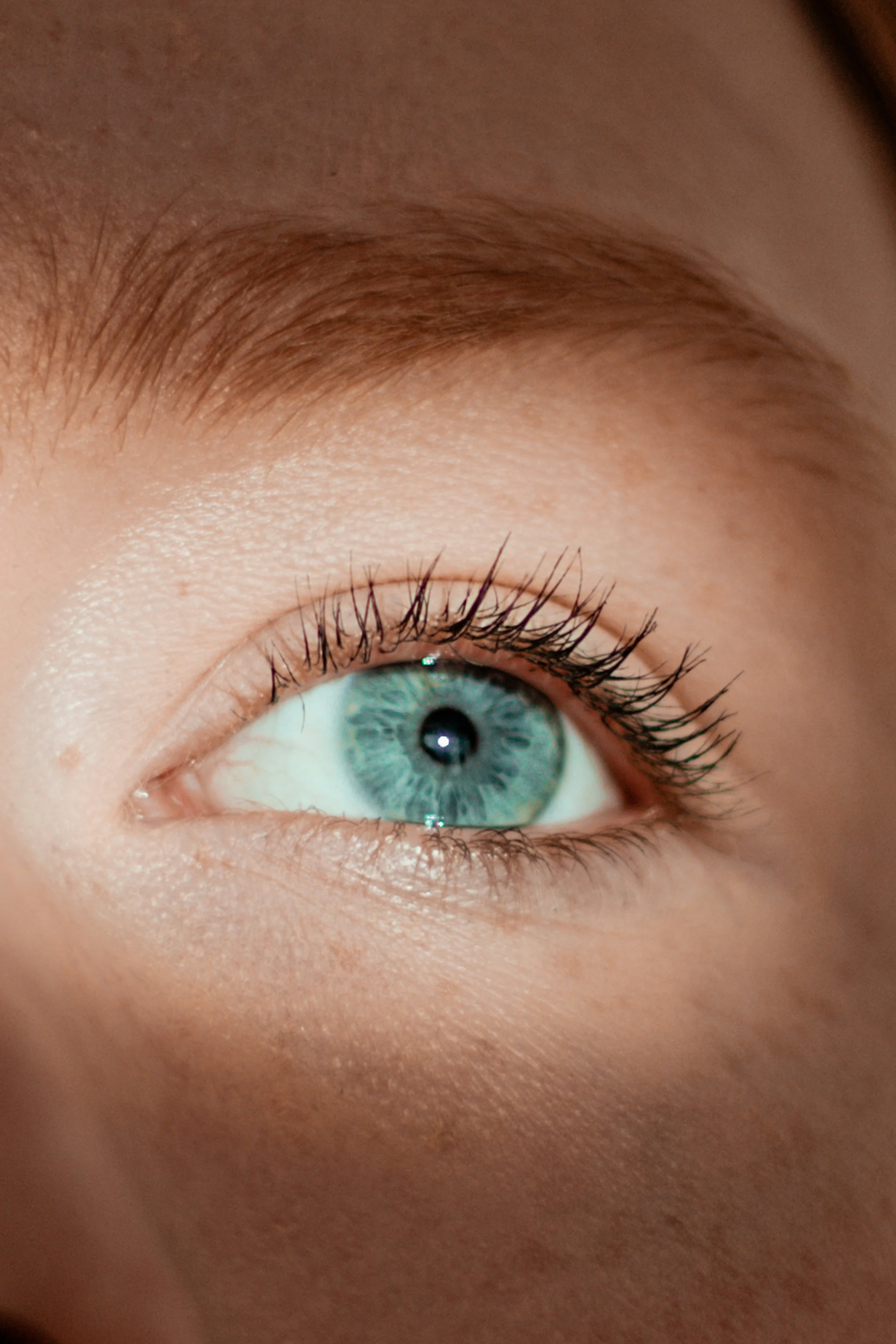 Close-up Auge