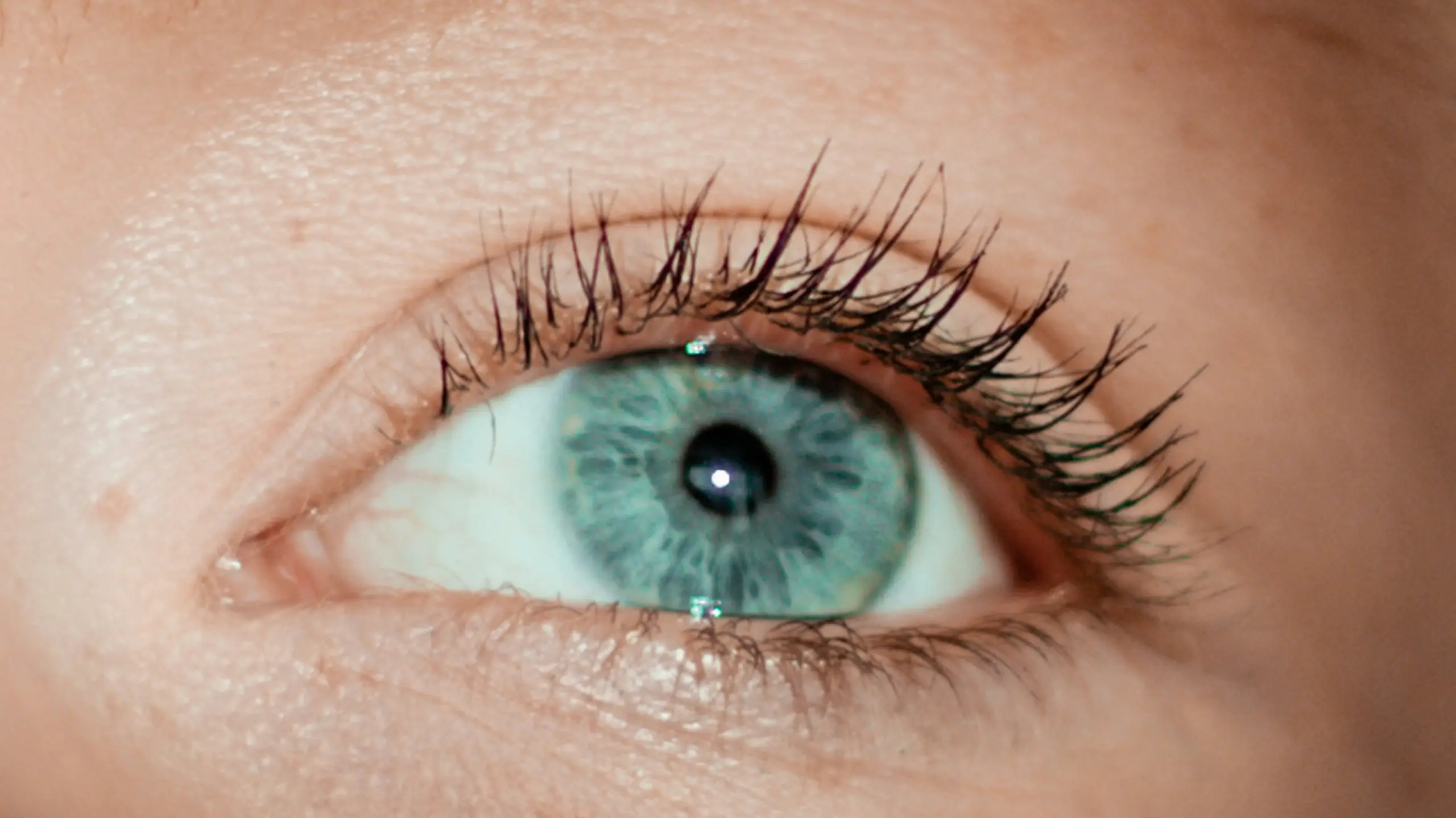 Close-up Auge