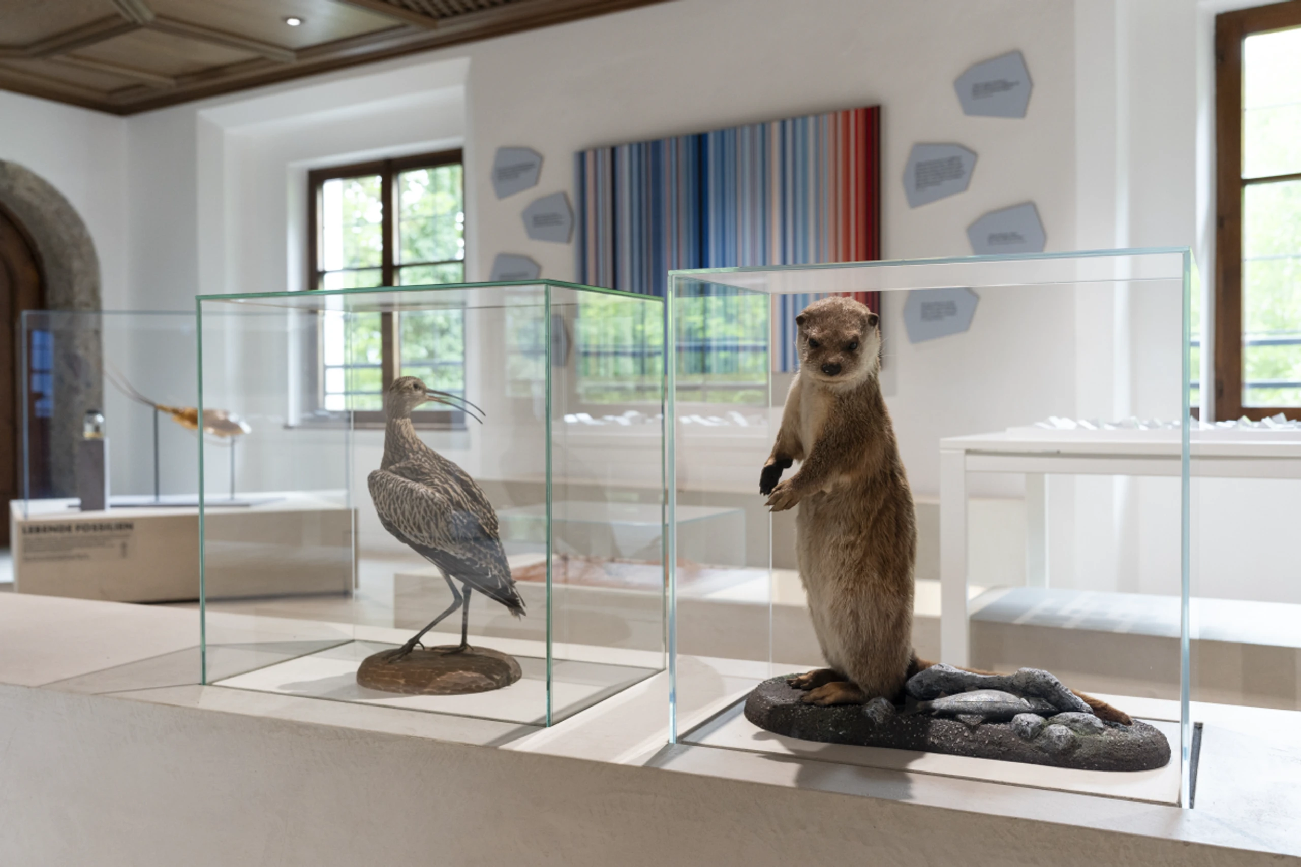 ++ HANDOUT ++ Die Ausstellung "EXTREM" zeigt die Anpassungsfähigkeit der Natur