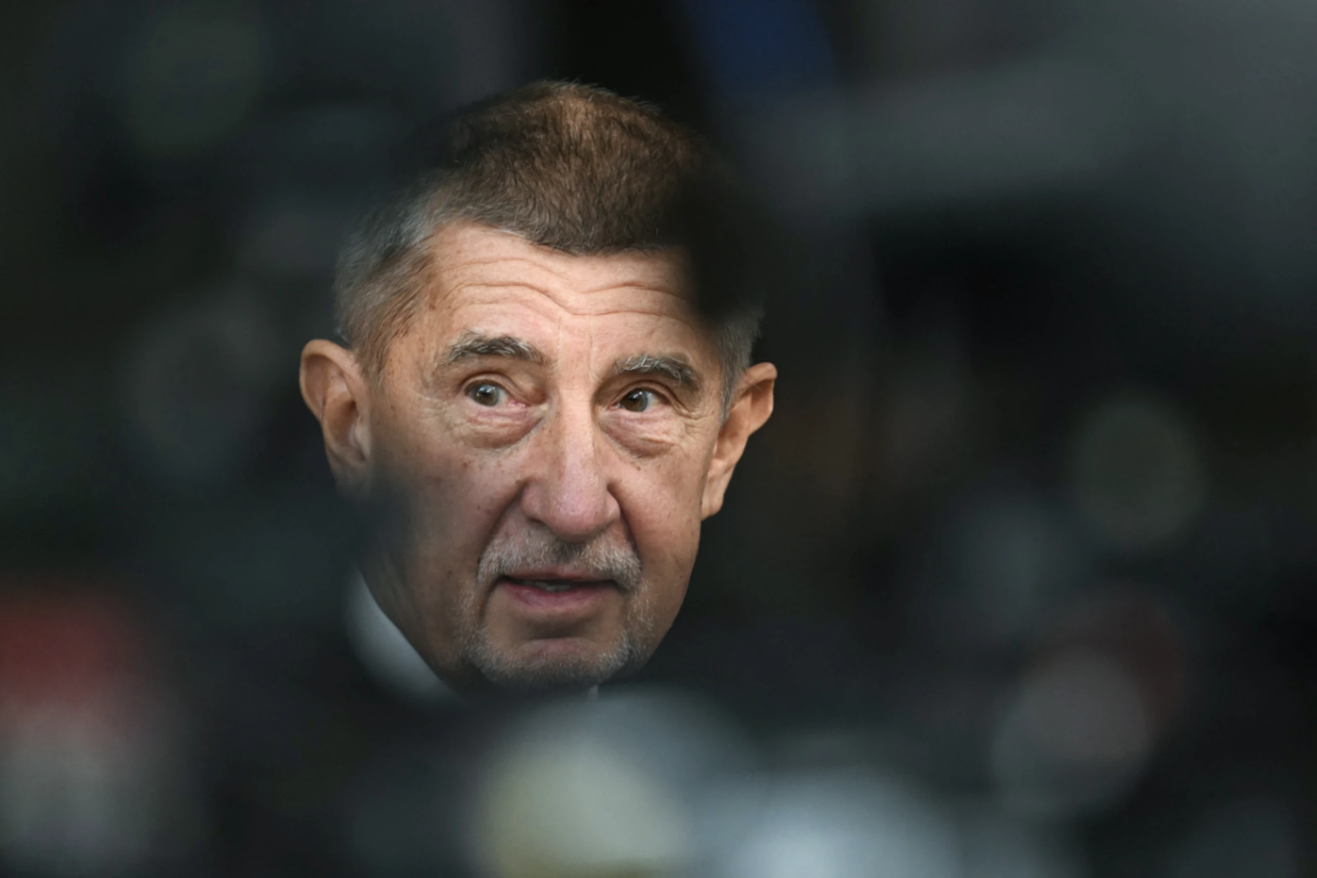 Tschechiens Premier Andrej Babiš