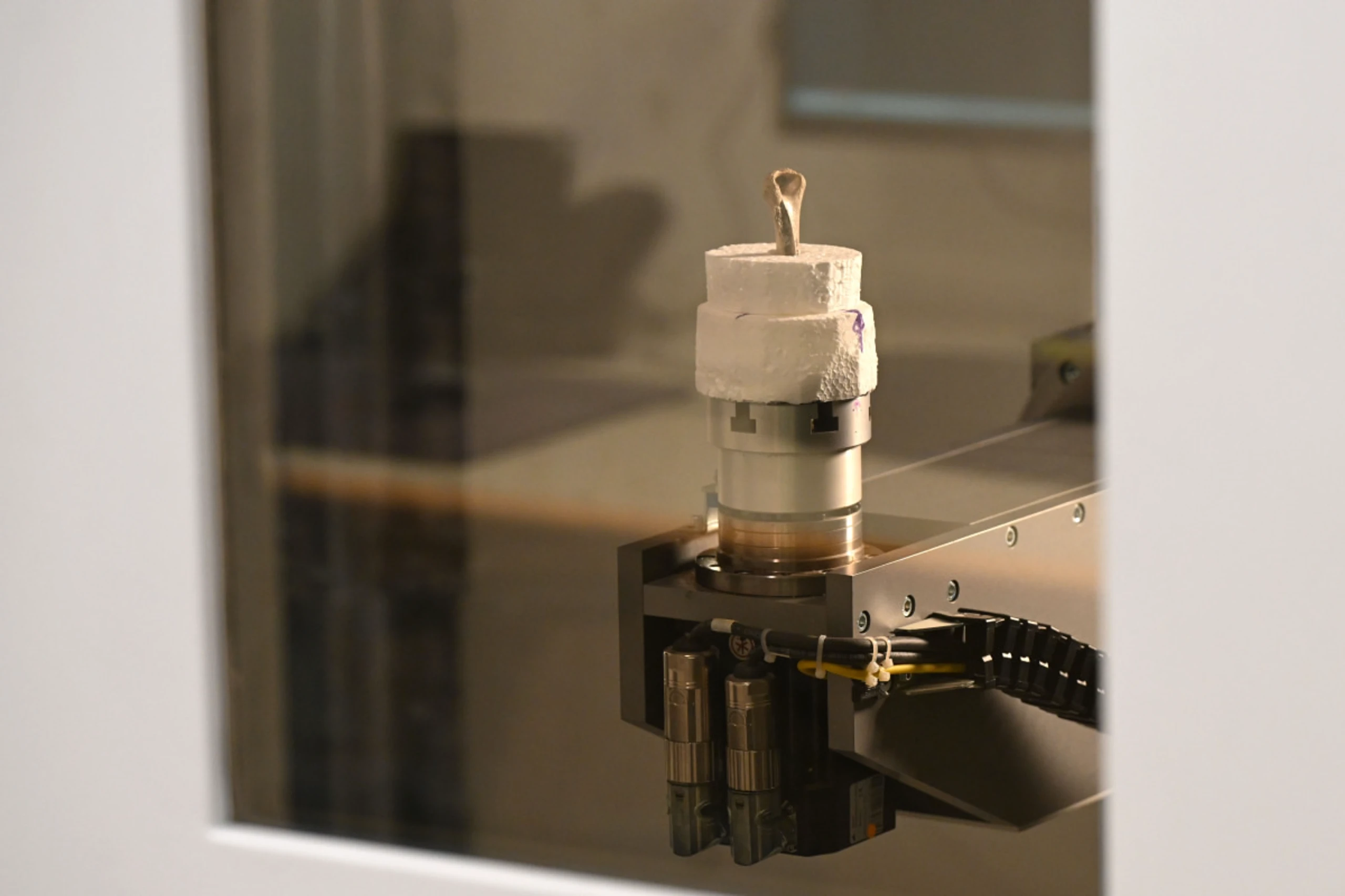 Mikro-Computertomographie (Mikro-CT) eines rechten Oberarmknochens