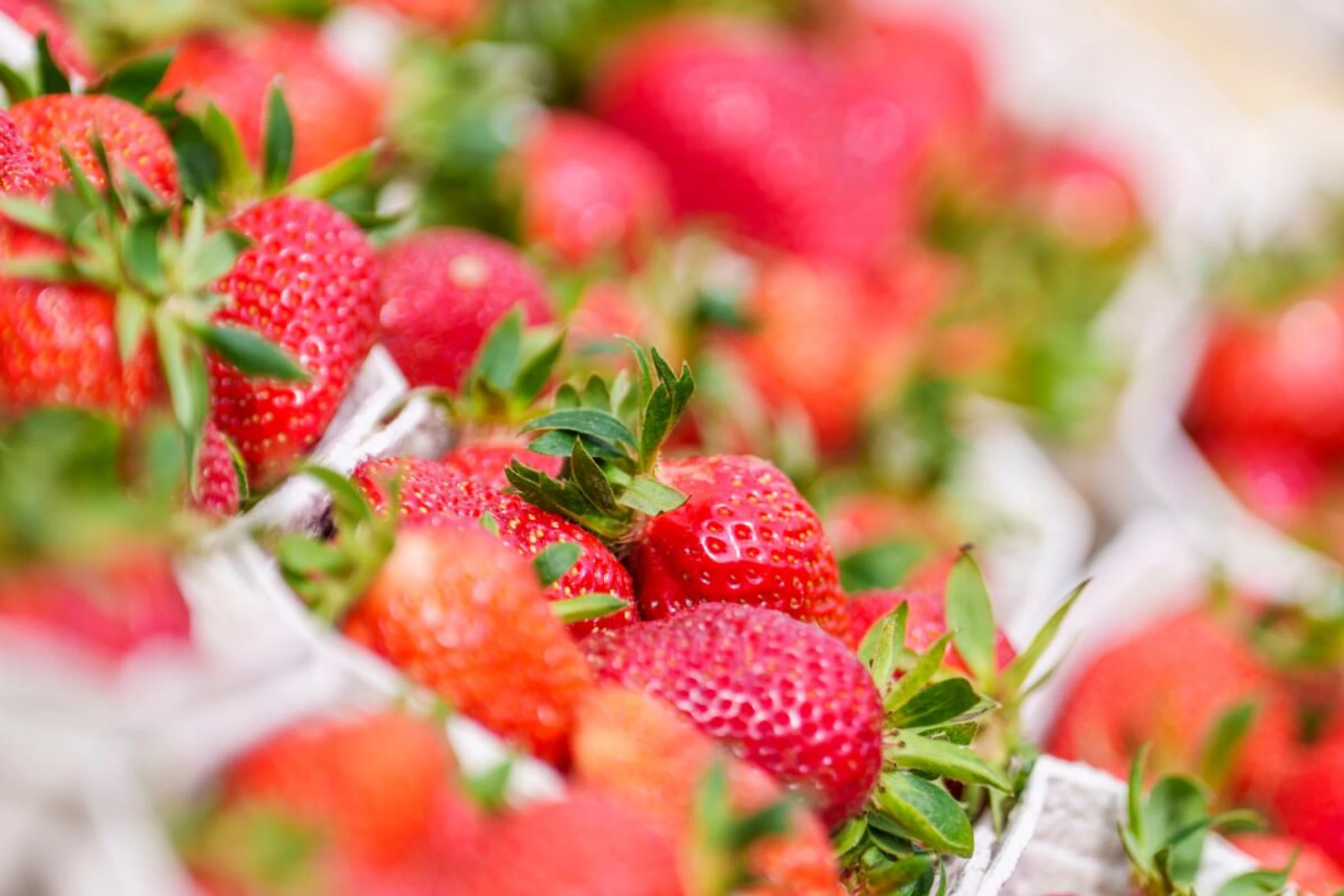 Bei Erdbeeren wird es schwer bei einer Rot-Grün-Schwäche