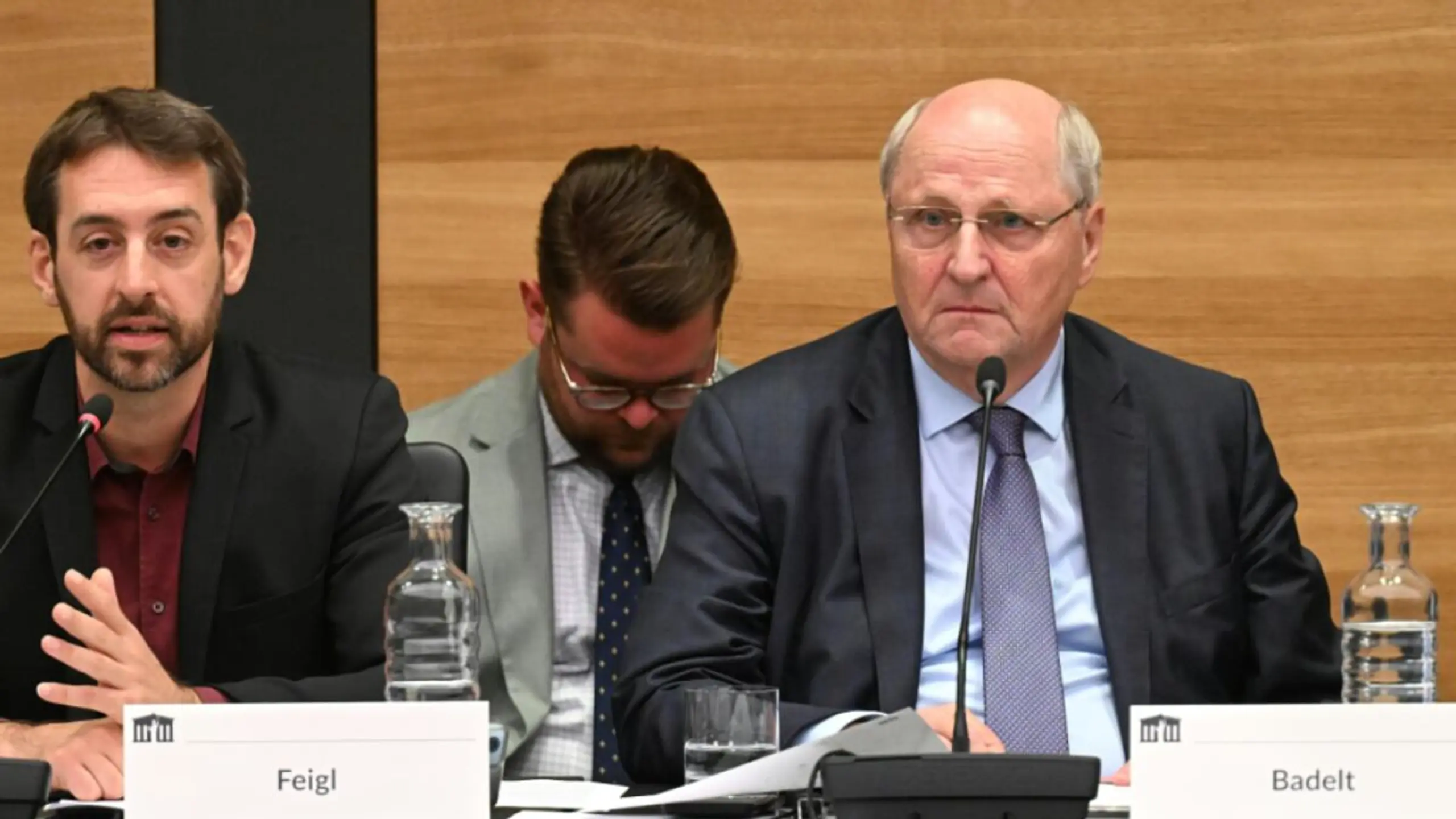 Fiskalratspräsident Badelt war als einer der Experten geladen