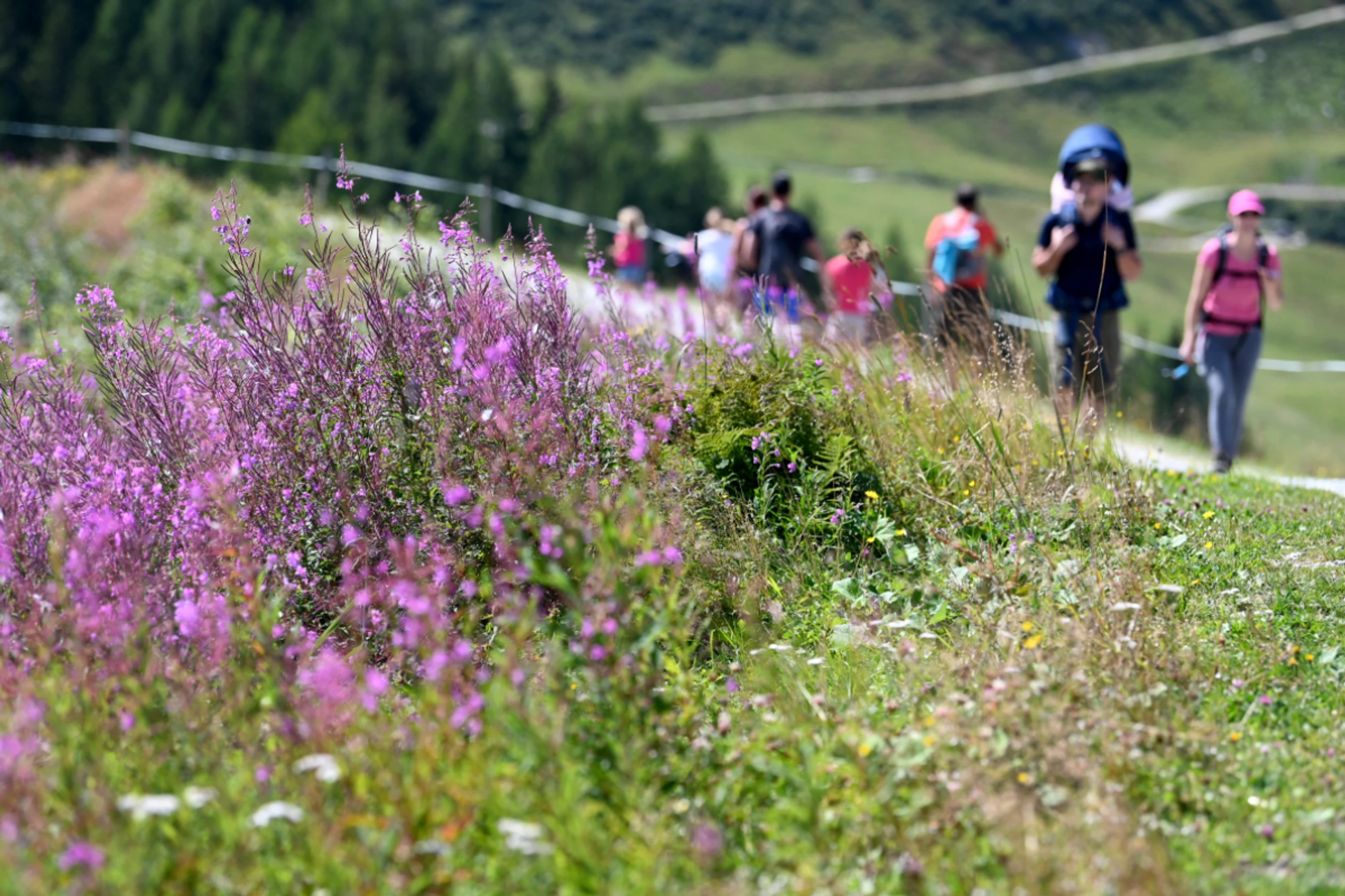 Urlaub in Österreich ist gefragt