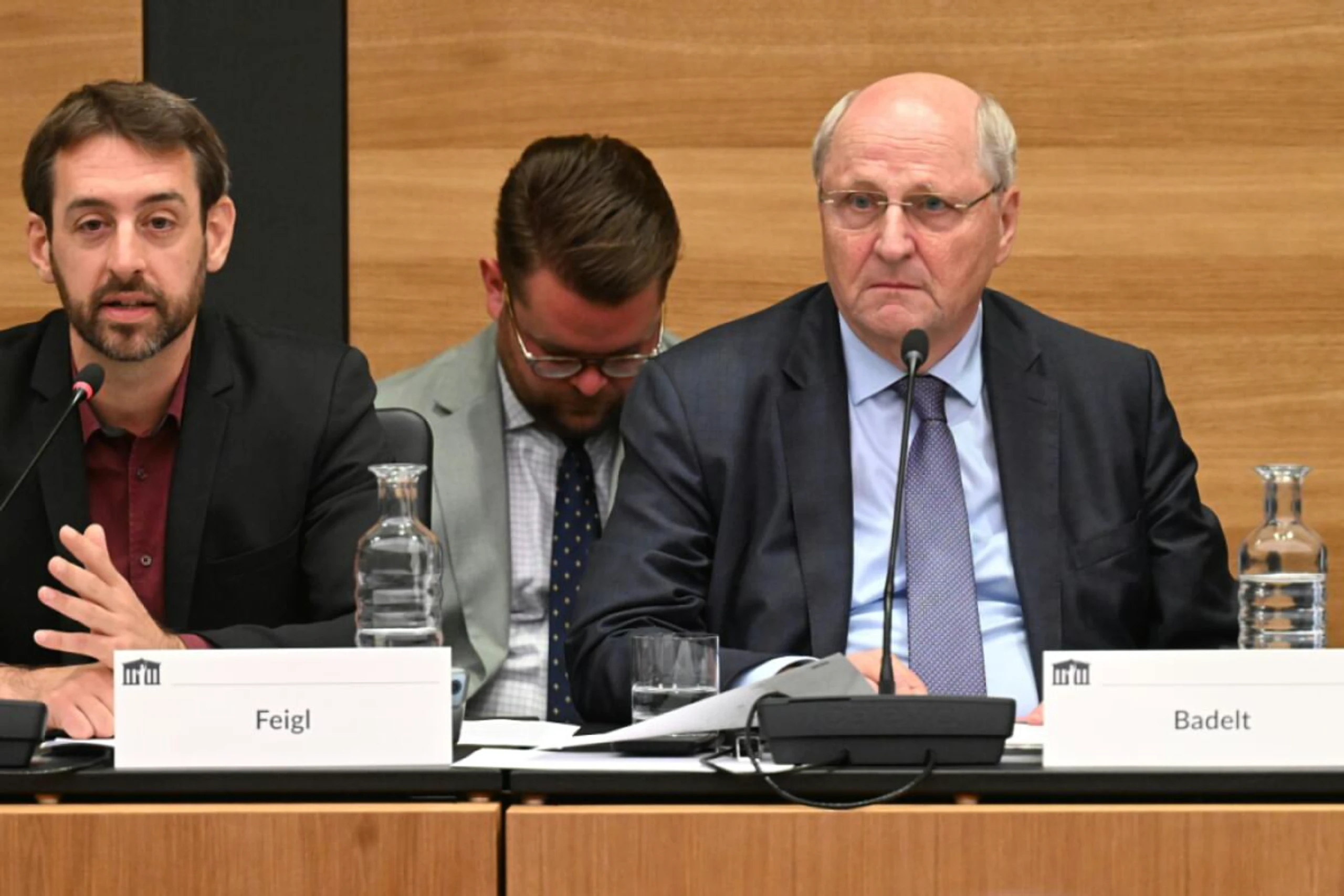 Fiskalratspräsident Badelt war als einer der Experten geladen