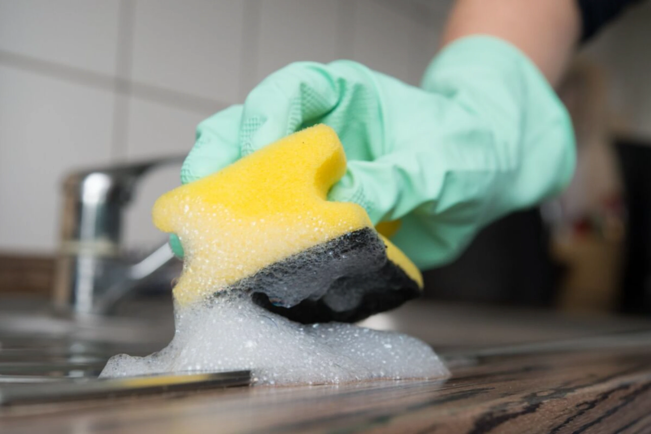 Auf Spülbürsten ist die Vermehrung von Bakterien weniger hoch