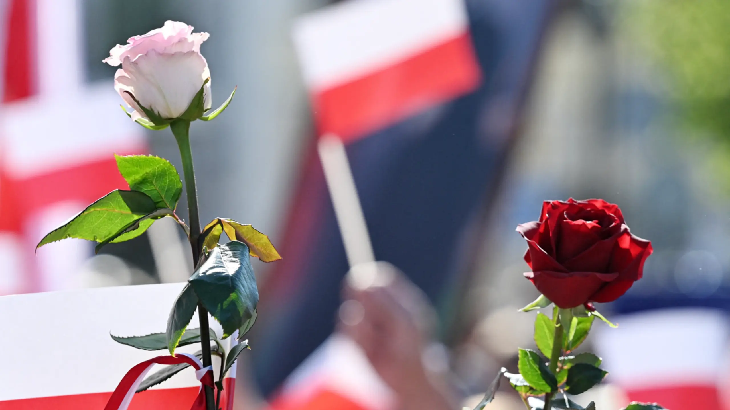 Polen blüht wirtschaftlich auf