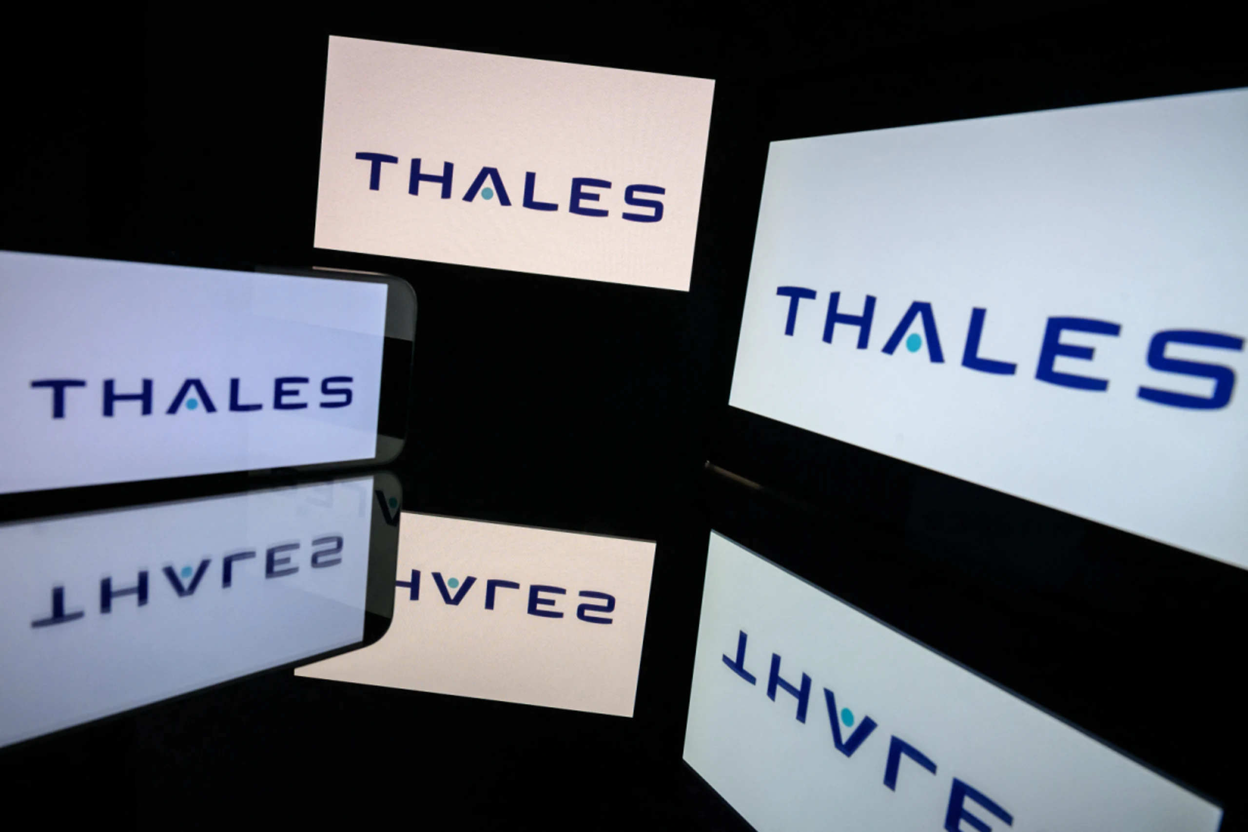 Thales will zukaufen
