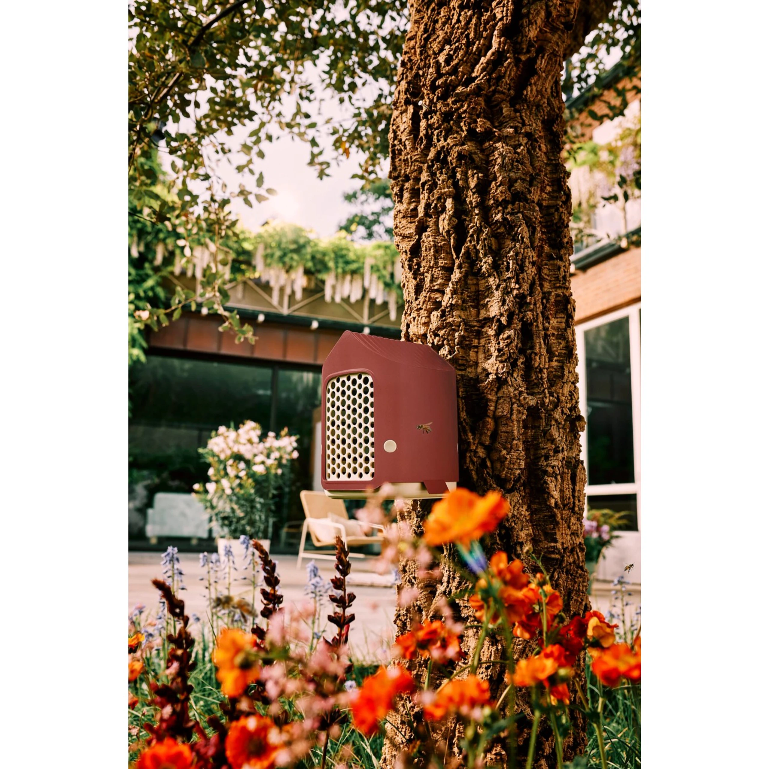 Blurred image background