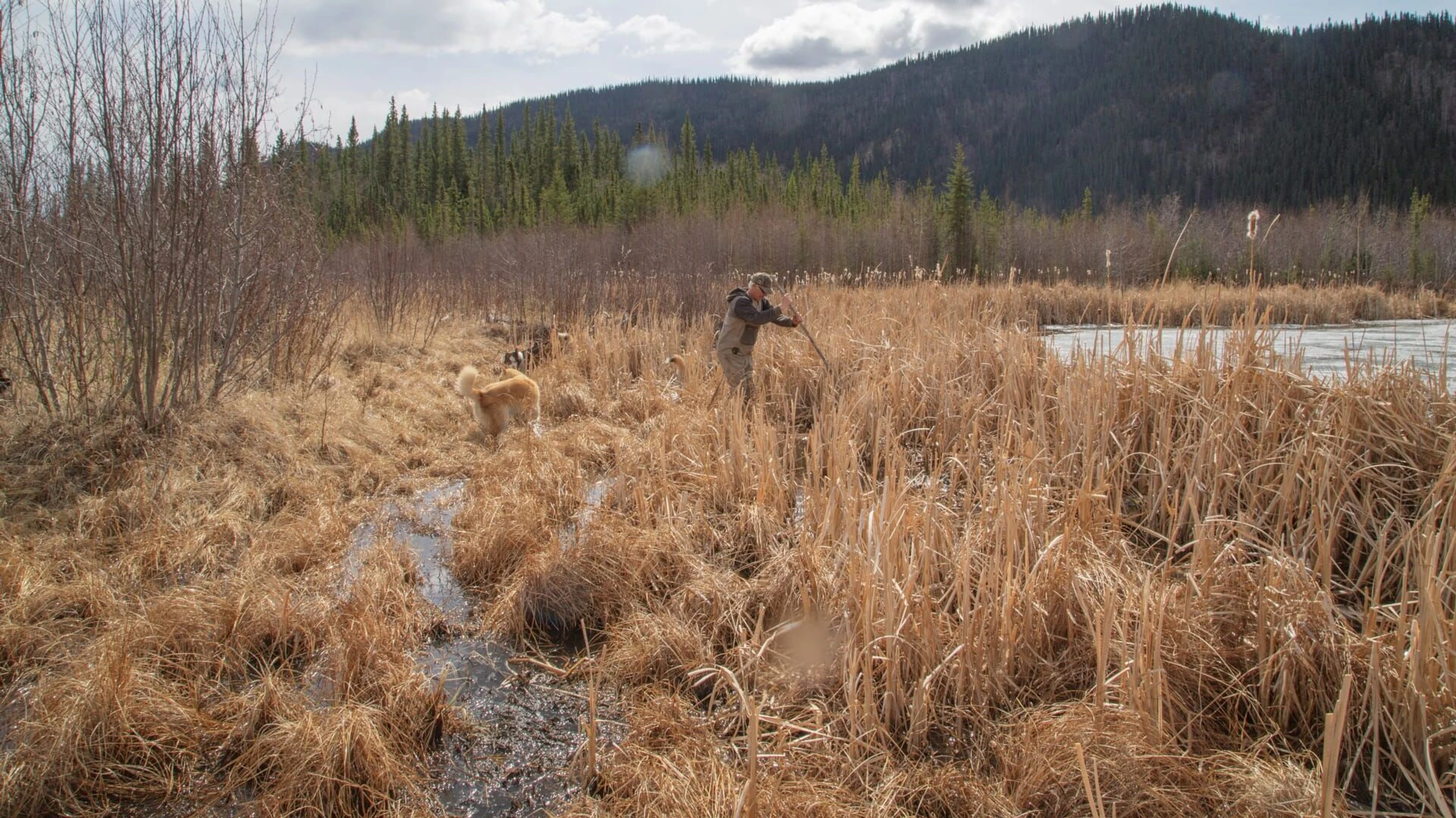Life Below Zero - Überleben in Alaska