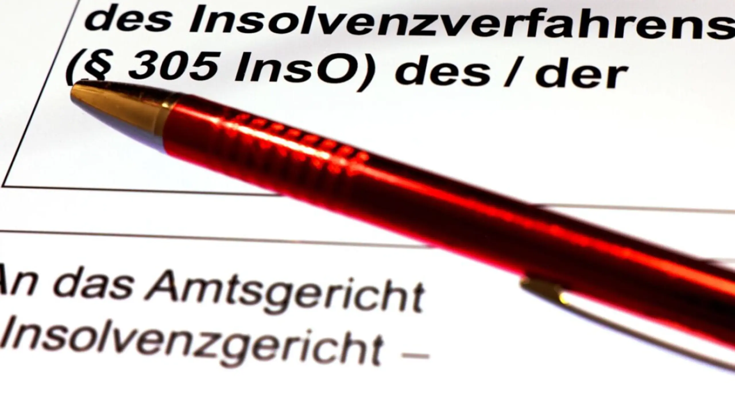 © APA/APA/dpa/OLIVER BERG Formular für Insolvenzantrag in Deutschland