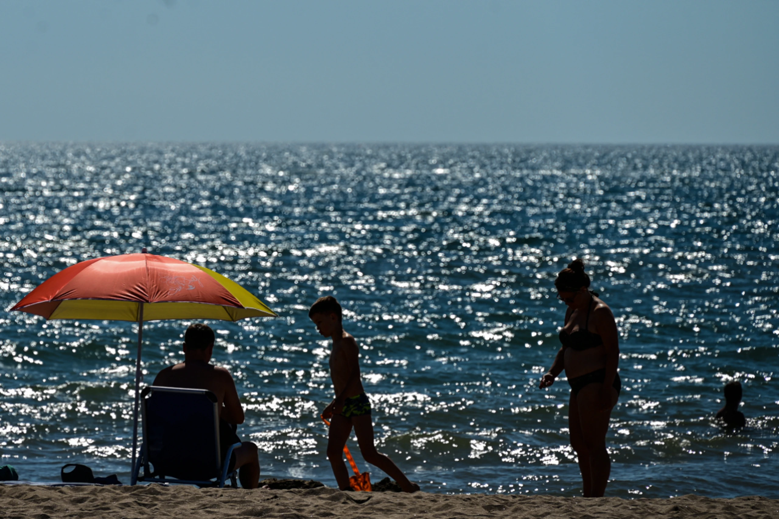 Laut Barometer des Ifo-Instituts