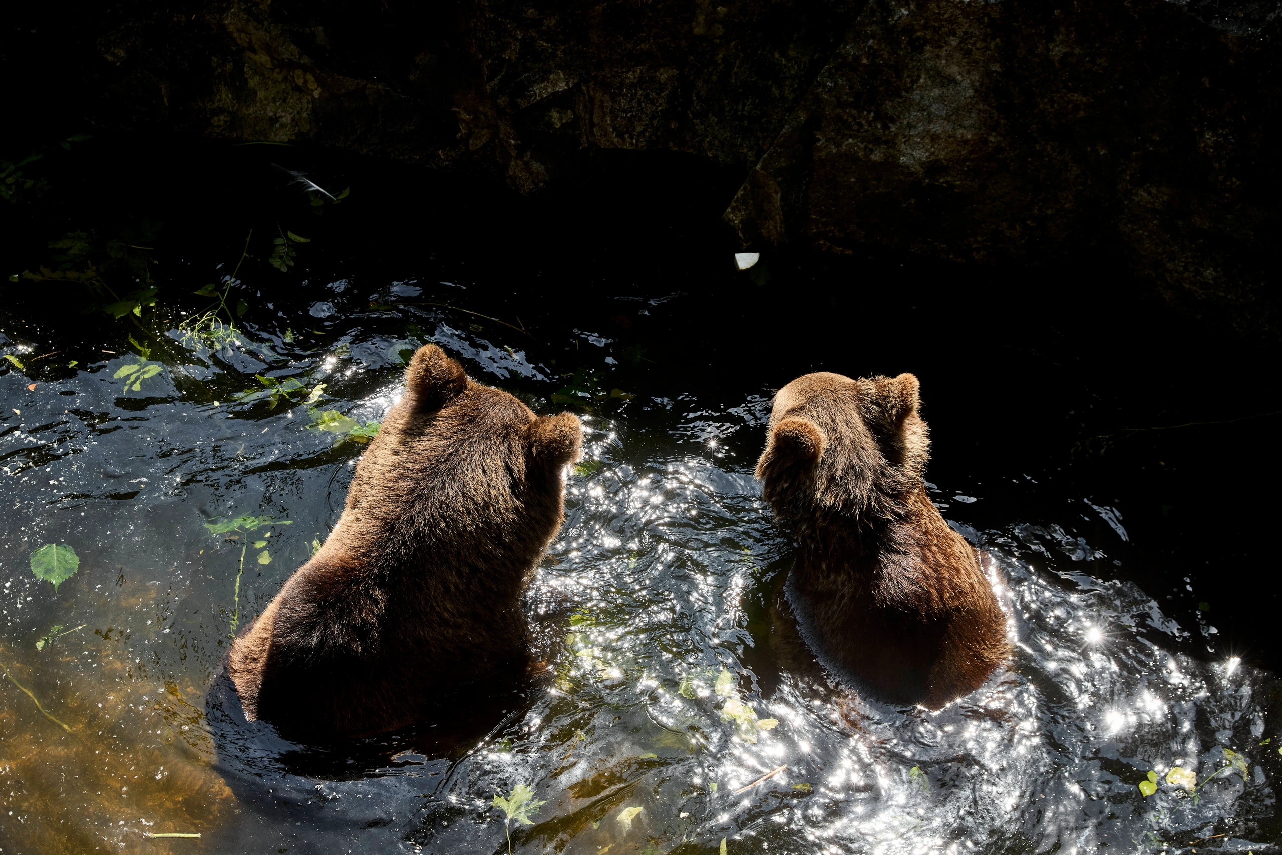 Bilder des Tages