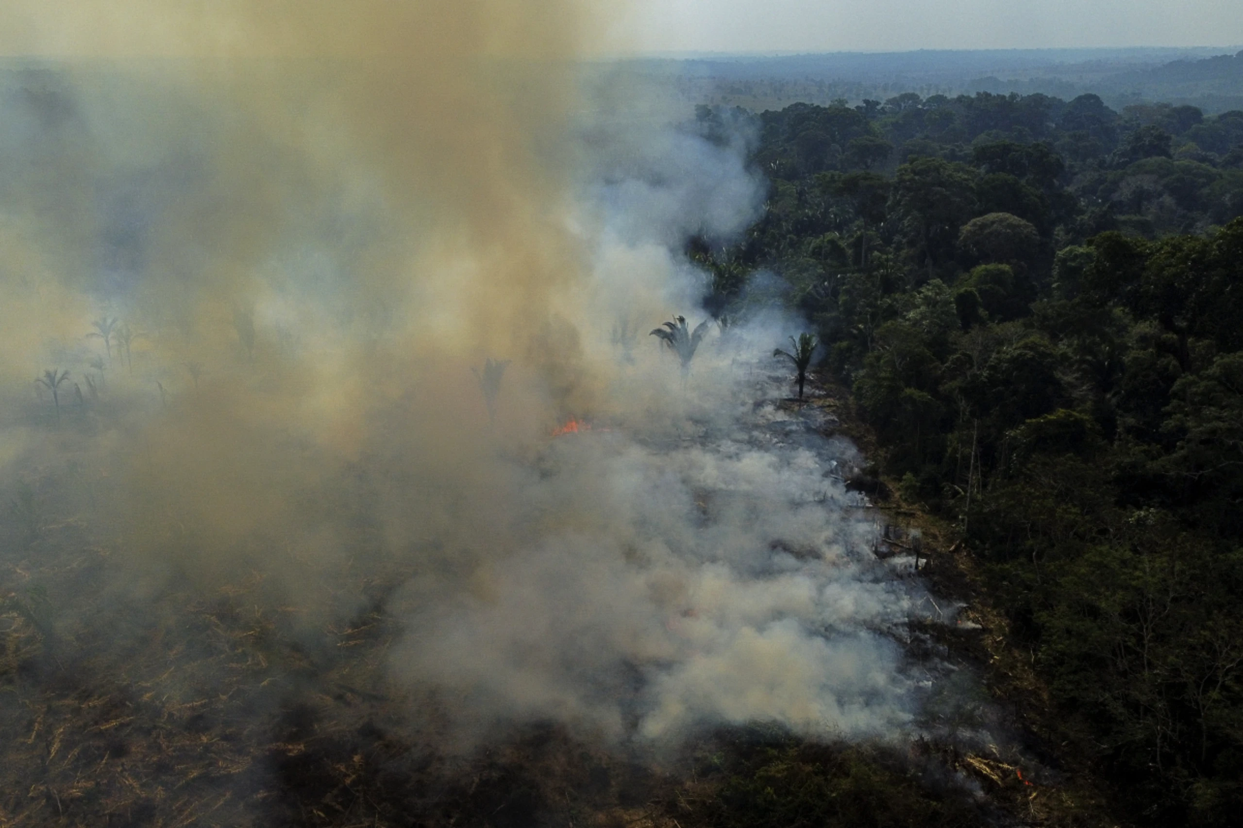 Im Amazonas wüteten 2025 weniger Feuer