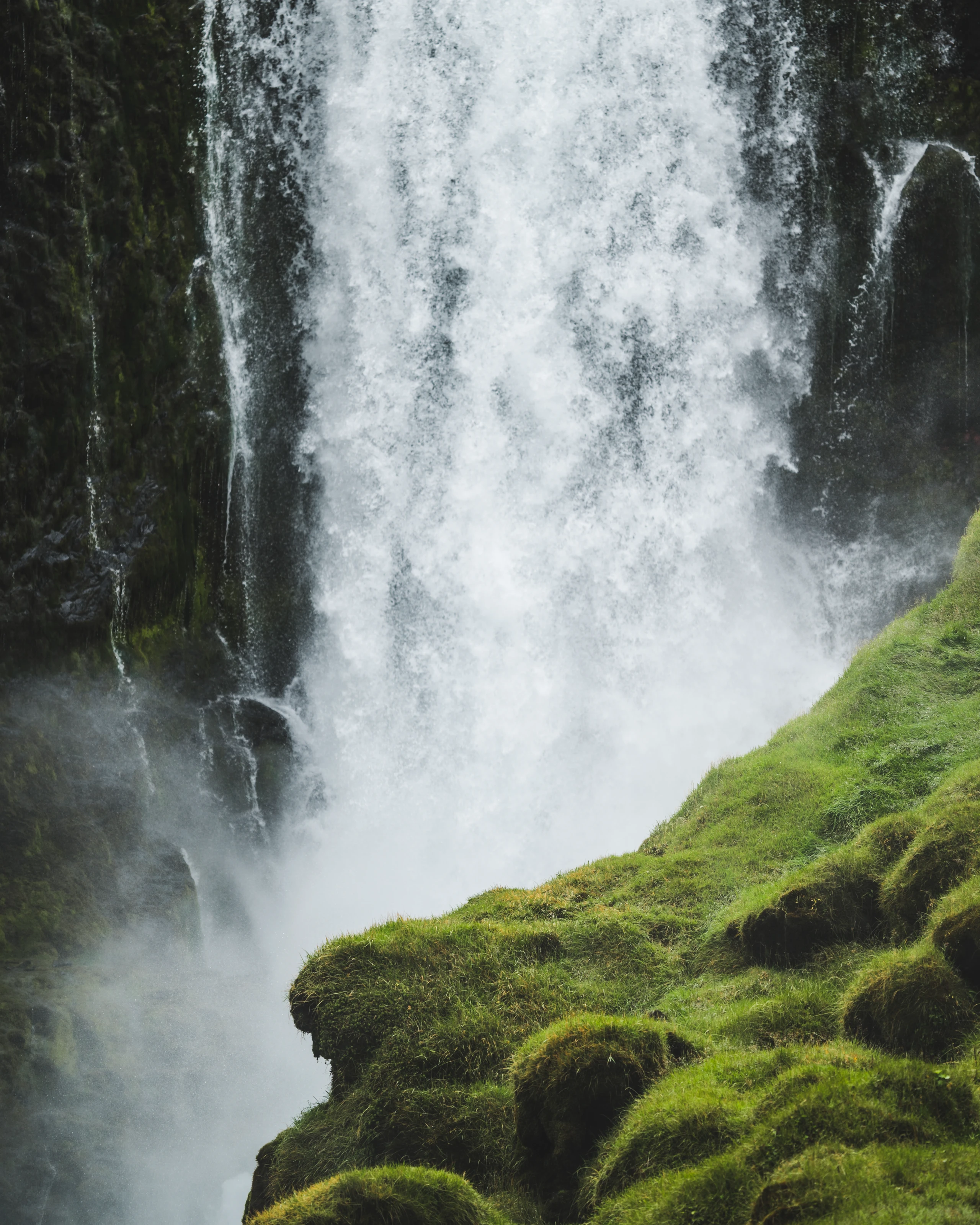 Blurred image background
