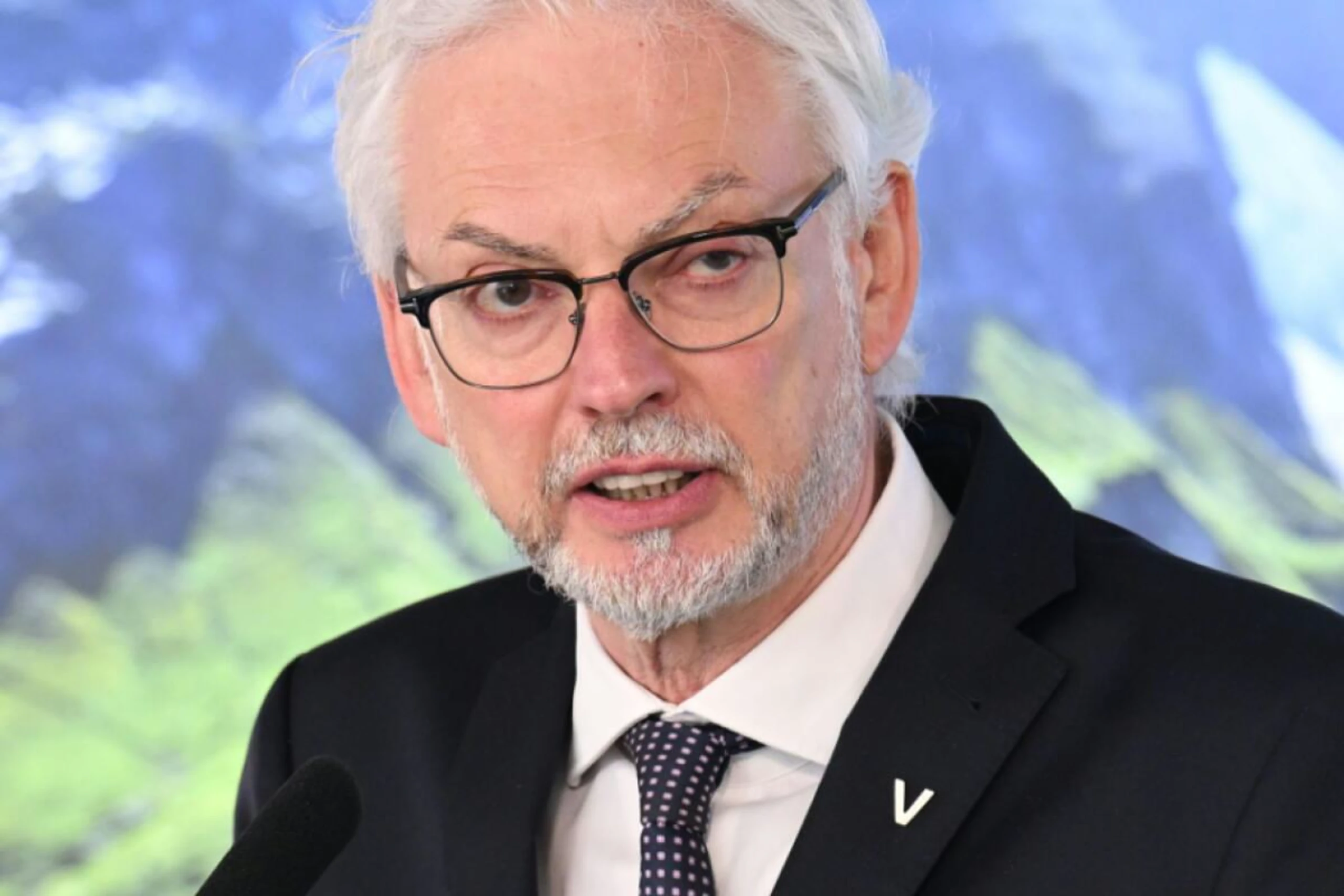 Verbund-Chef: "Photovoltaik am Dach braucht keine Förderung mehr"