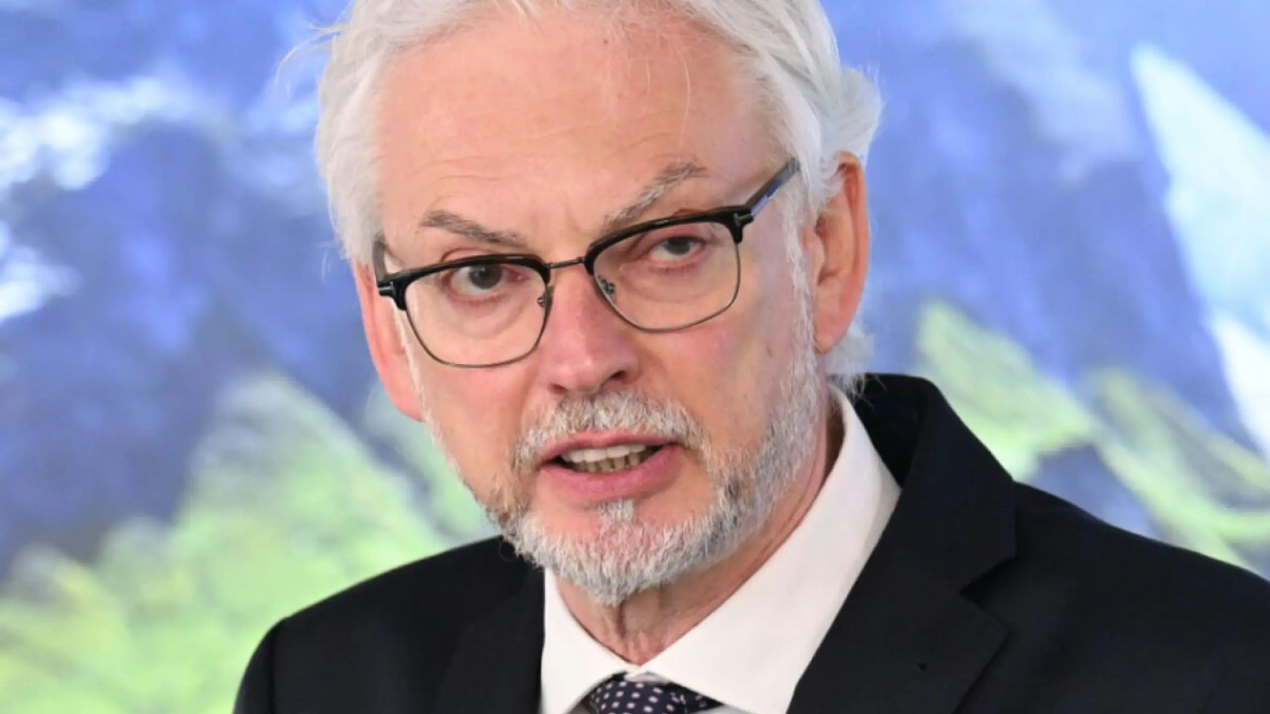 © APA/APA/HELMUT FOHRINGER/HELMUT FOHRINGER Verbund-Chef: "Photovoltaik am Dach braucht keine Förderung mehr"