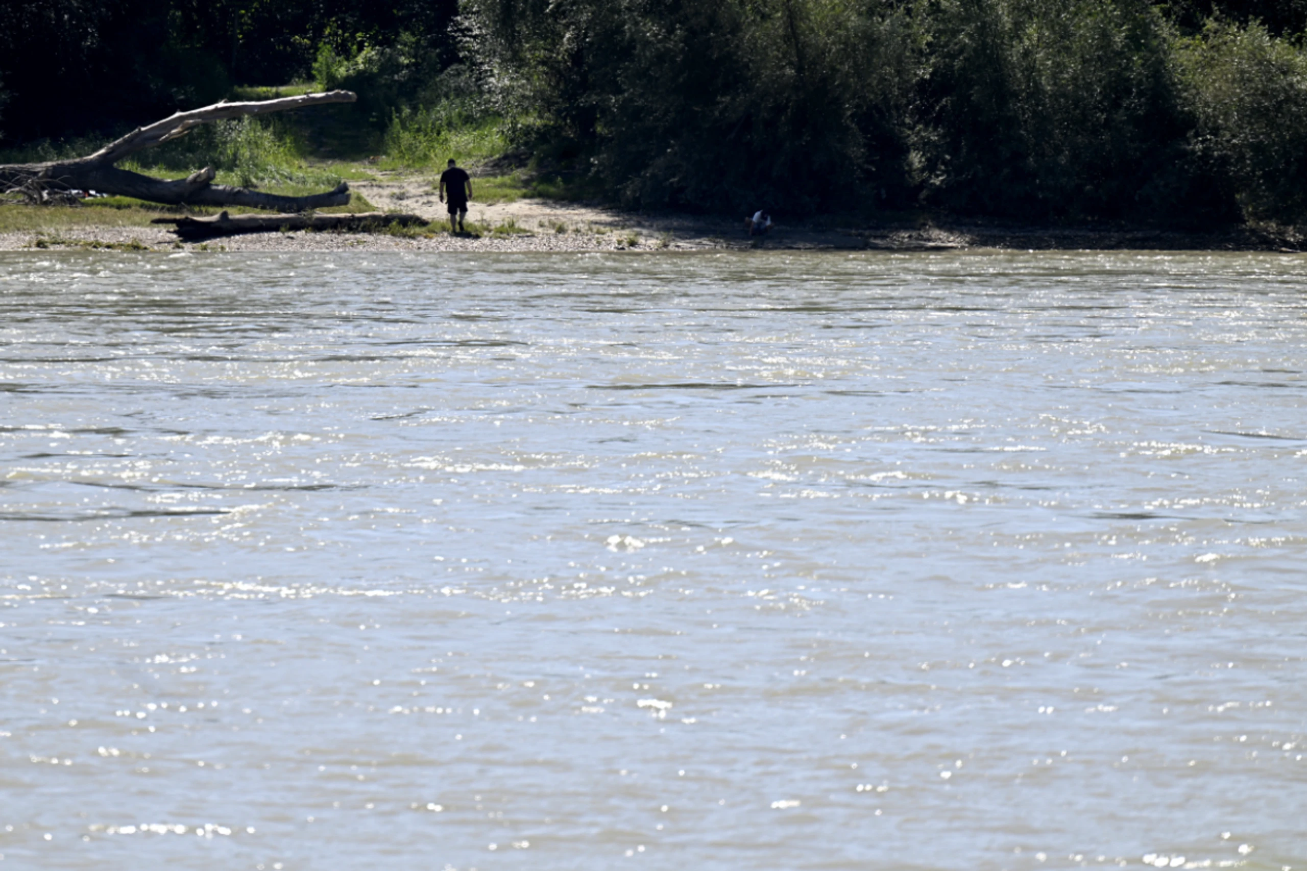 Rund 500 Bodentiere im Flusssystem der Donau erhoben