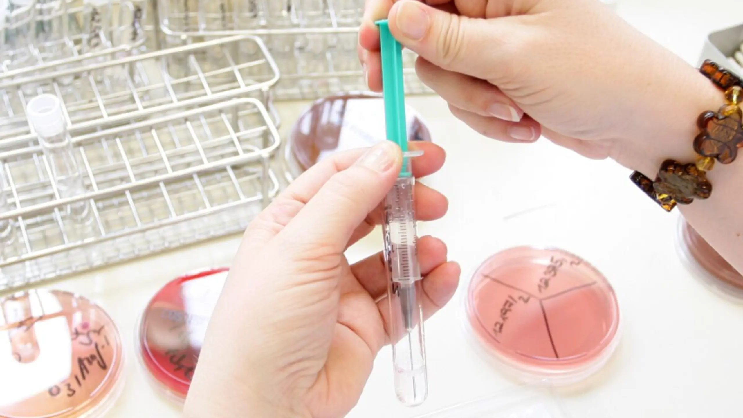 © APA/APA/THEMENBILD/HELMUT FOHRINGER Positive Studien beflügelten den Aktienkurs von Forte Biosciences
