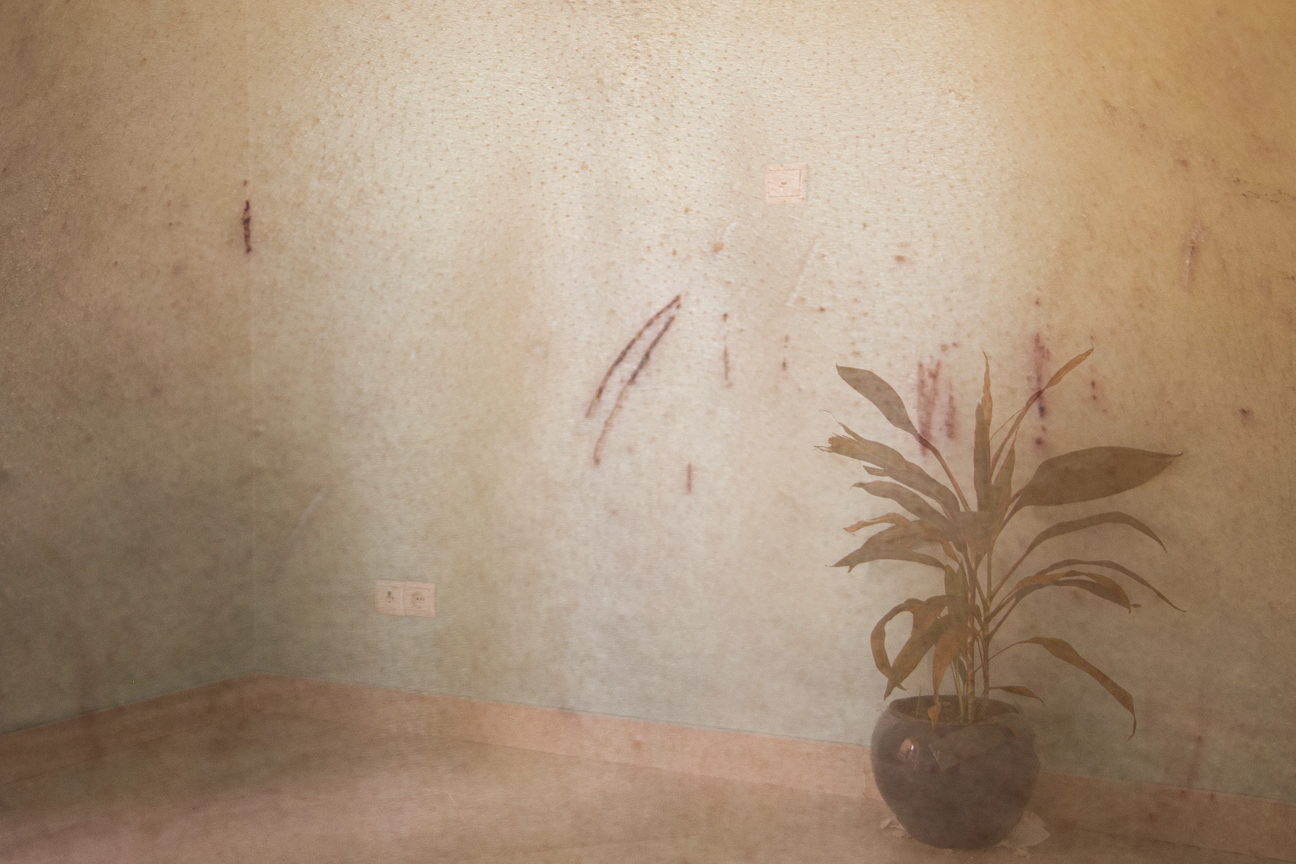 Blurred image background