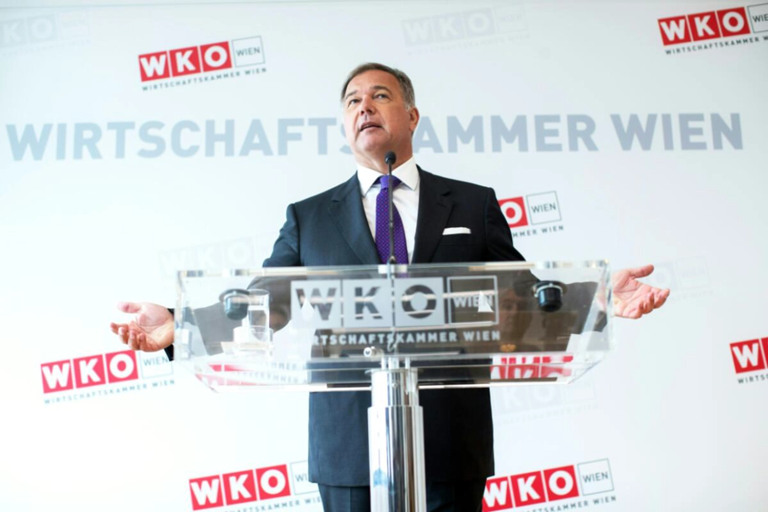 Auch als Obmann des Wiener ÖVP-Wirtschaftsbundes tritt Ruck zurück