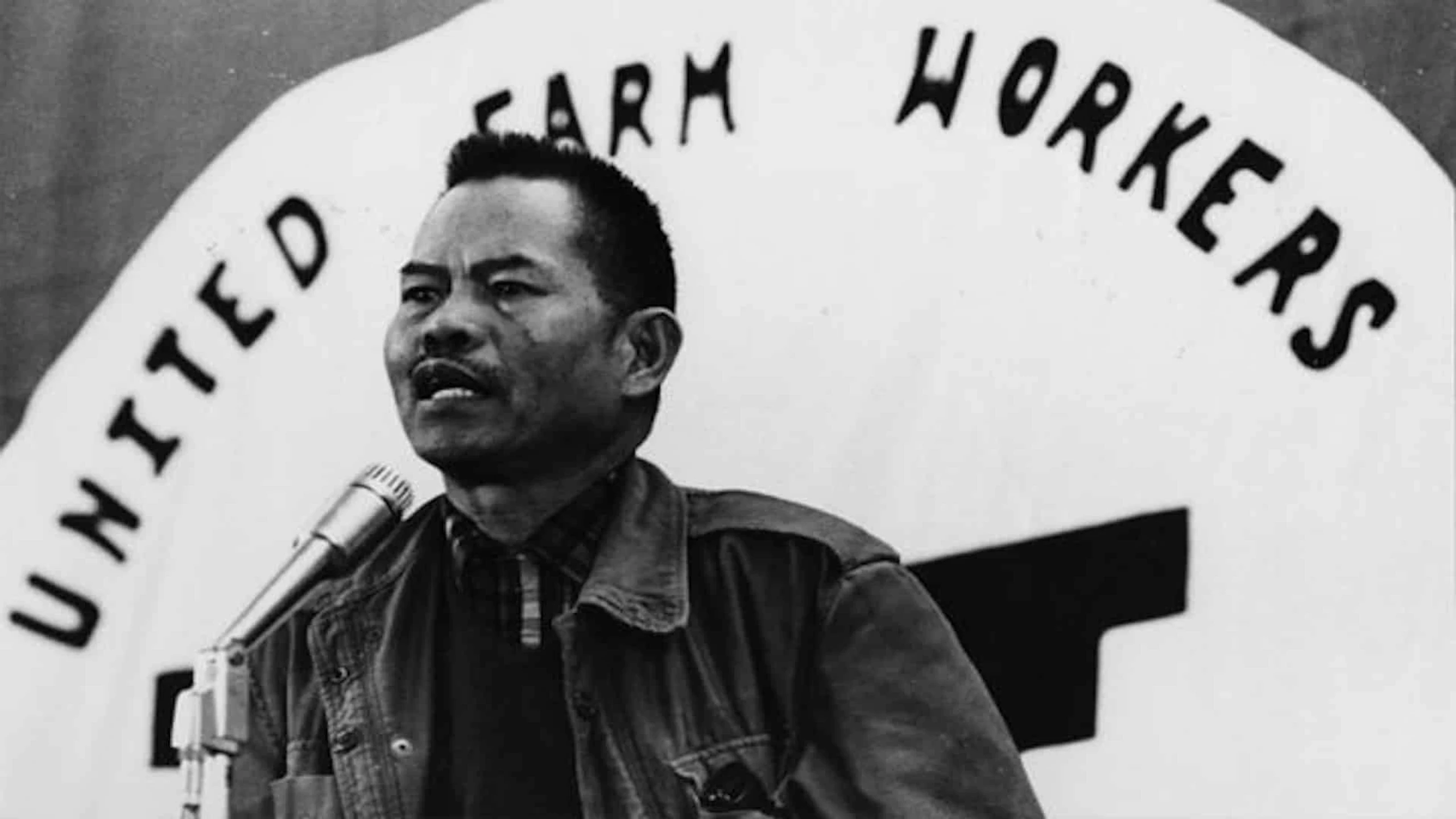 The Delano Manongs - Forgotten Heroes Of The United Farm Workers Movement