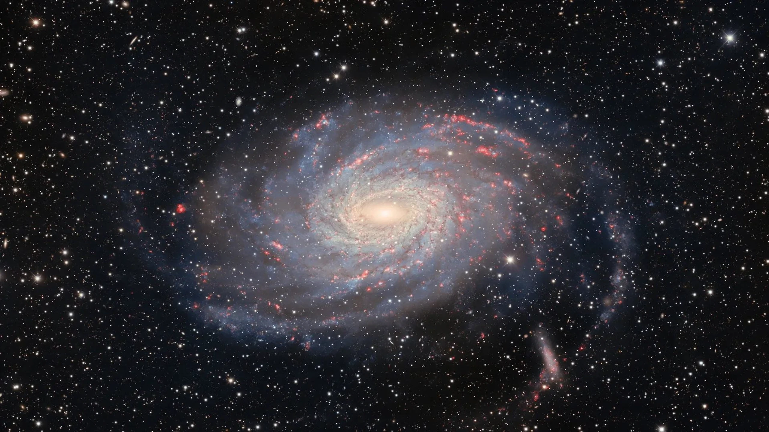 The Character of Physical Law
