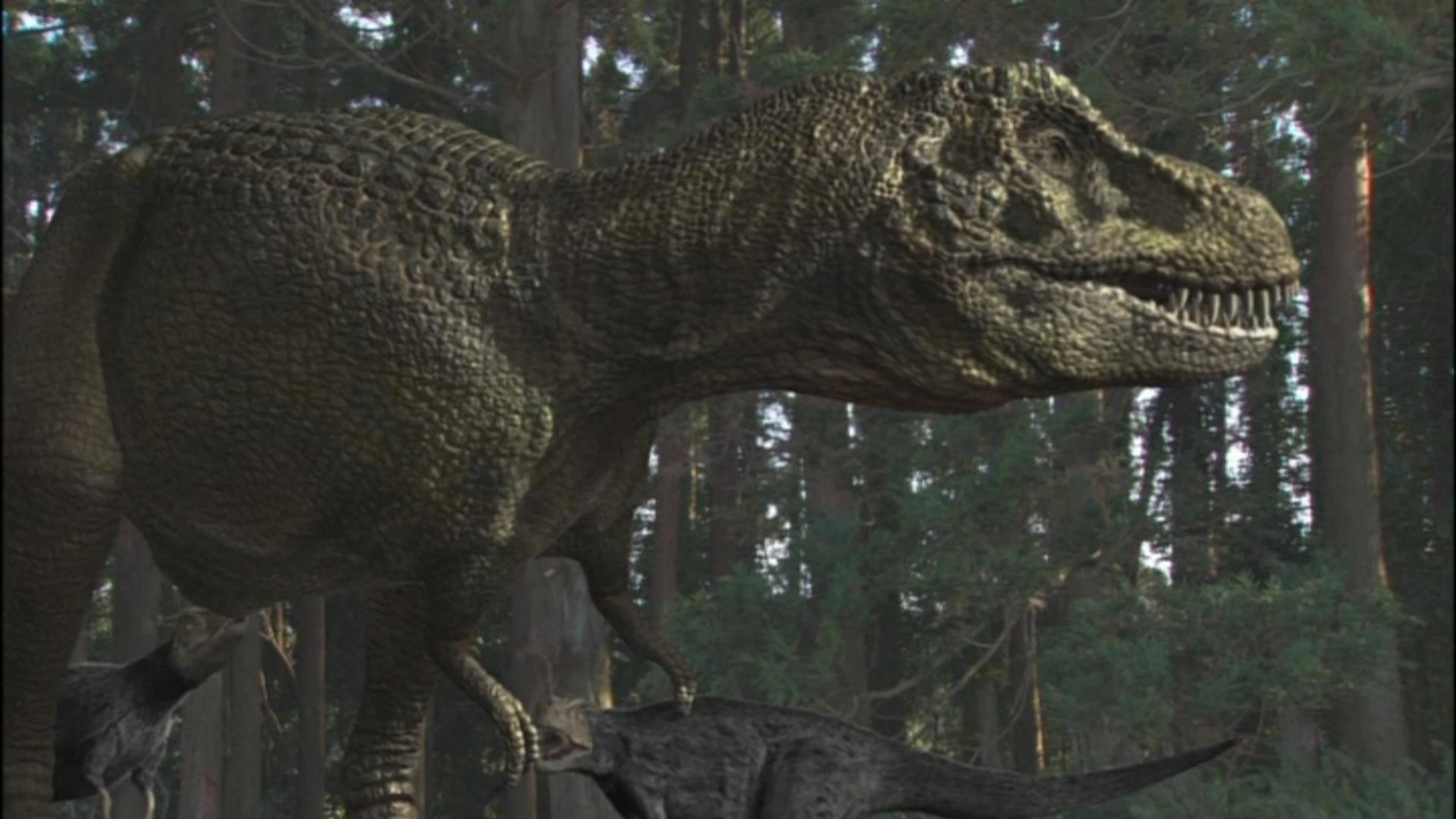 Auf der Spur der Dinosaurier
