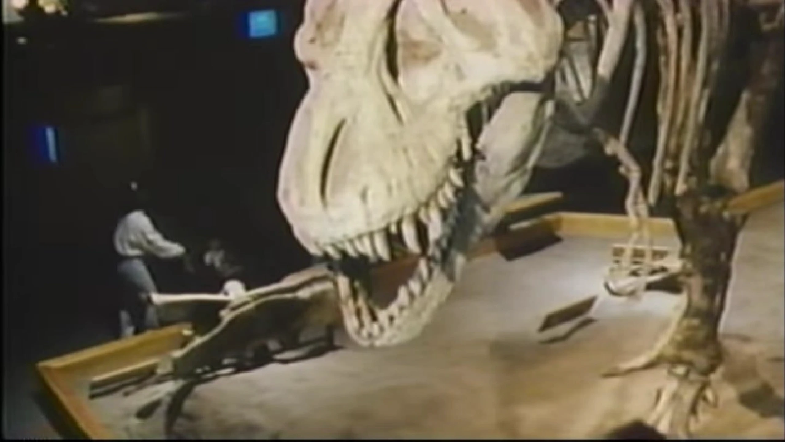 The Real Jurassic Park