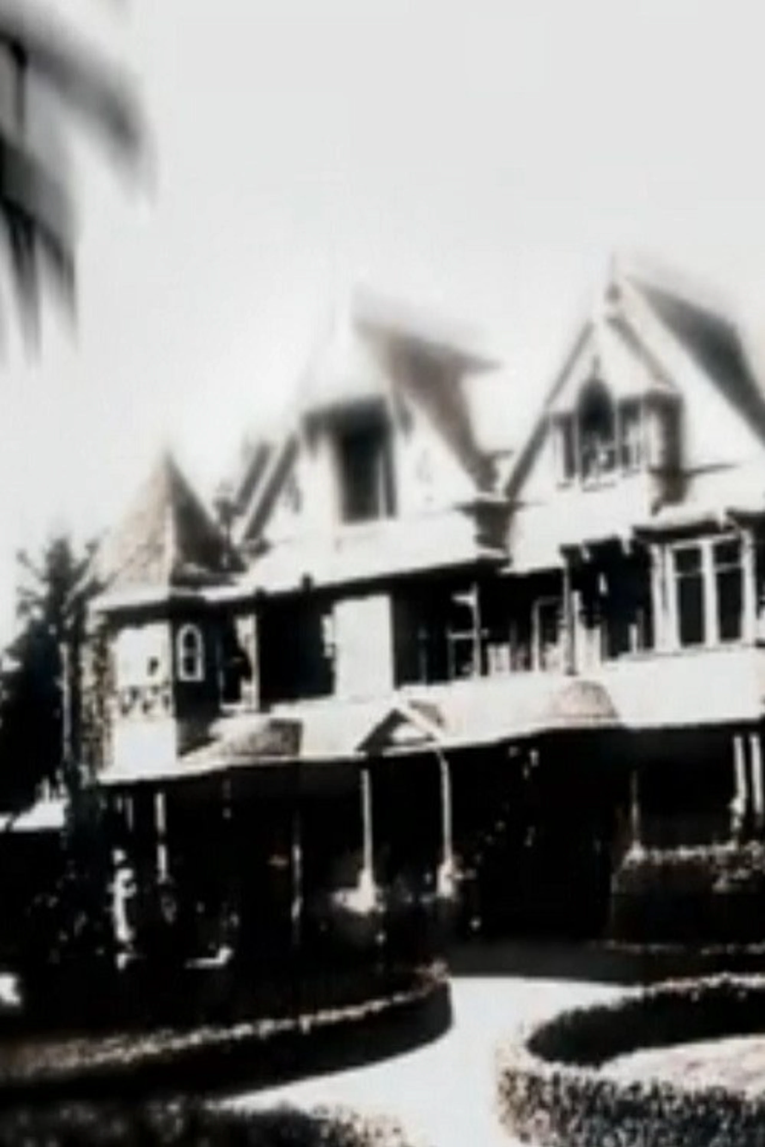 Winchester