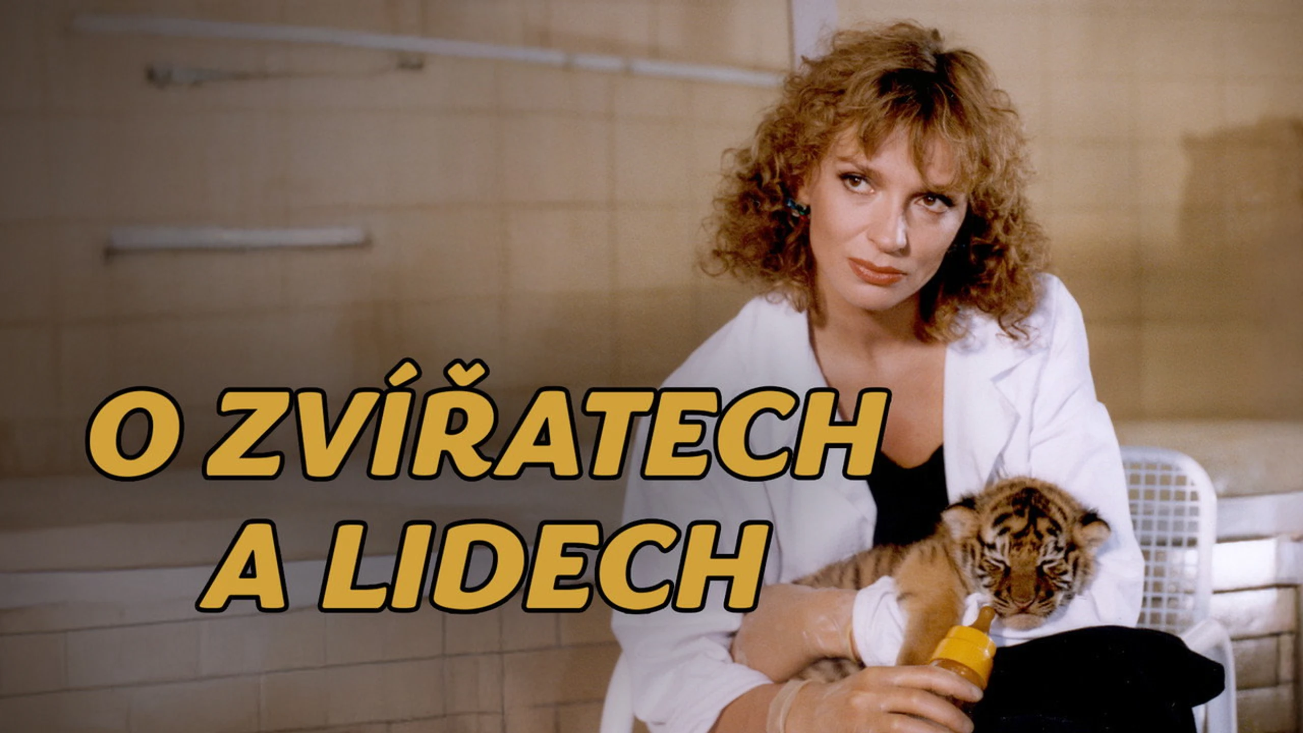 Unsere Tierklinik