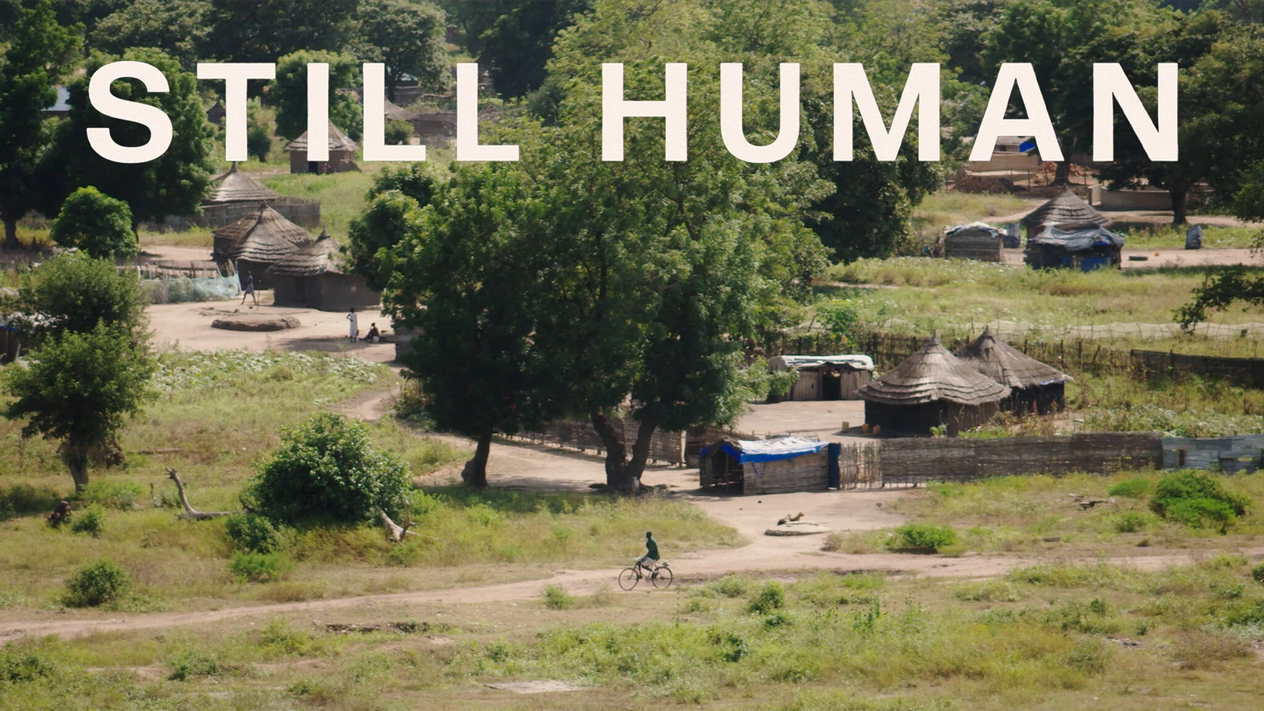 Still Human
