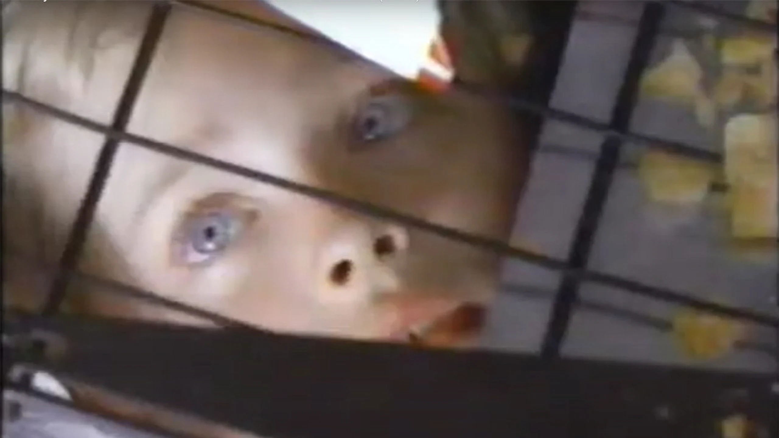 The Innocent