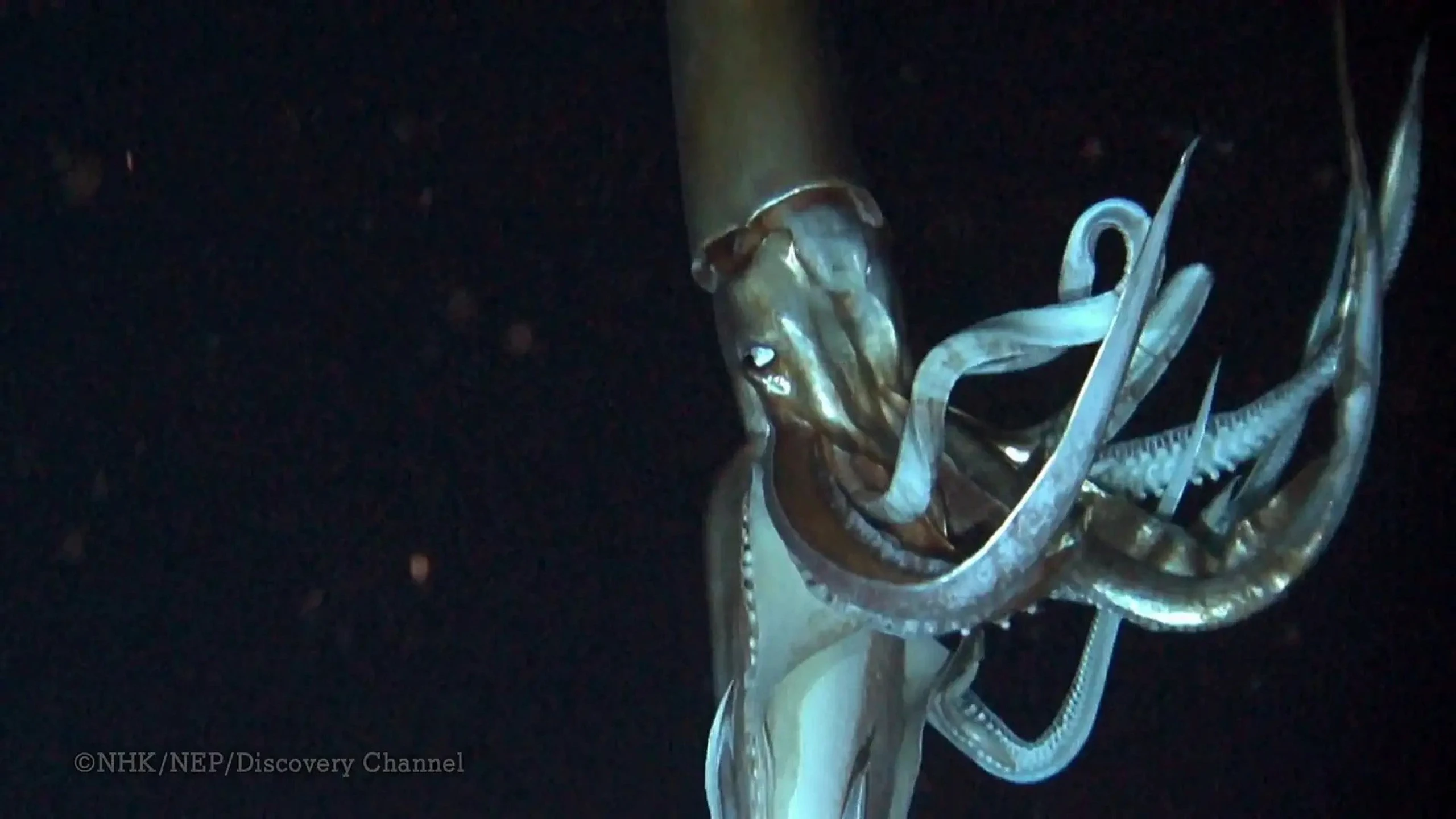 Deep Ocean