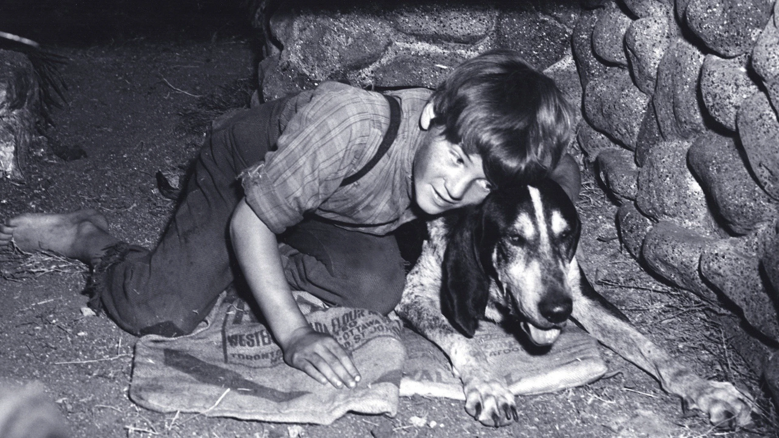 A Boy and His Dog