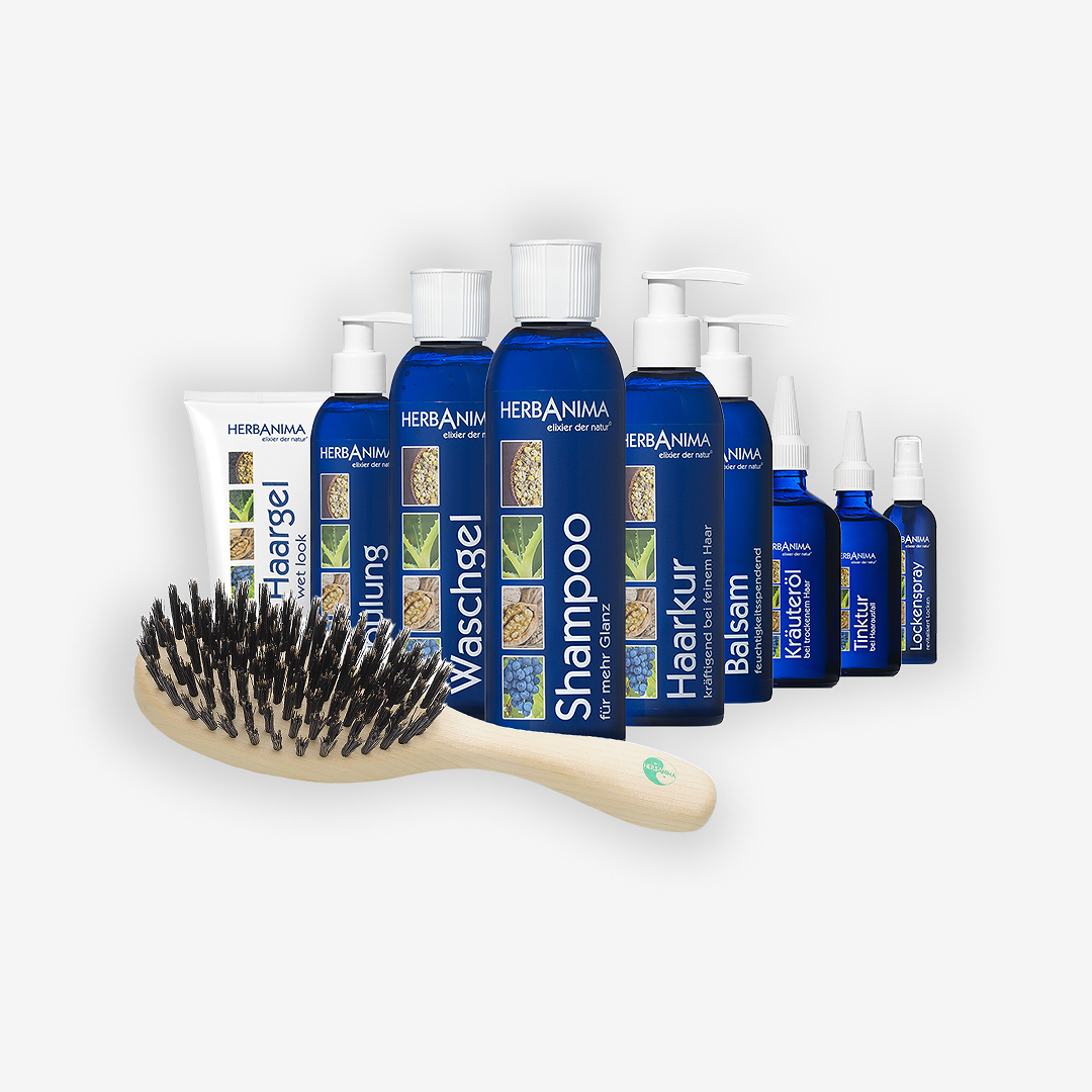 Starter Set Haar & Kopfhautpflege