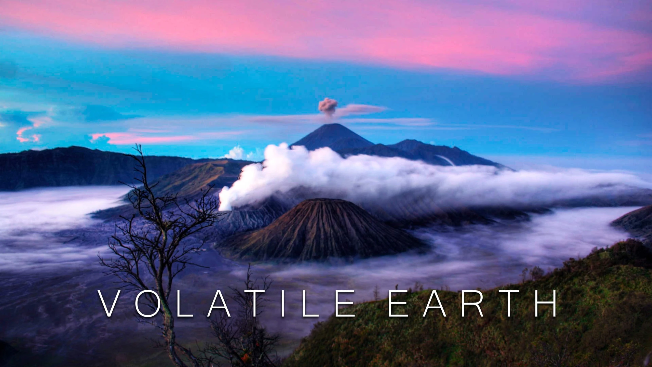 Volatile Earth