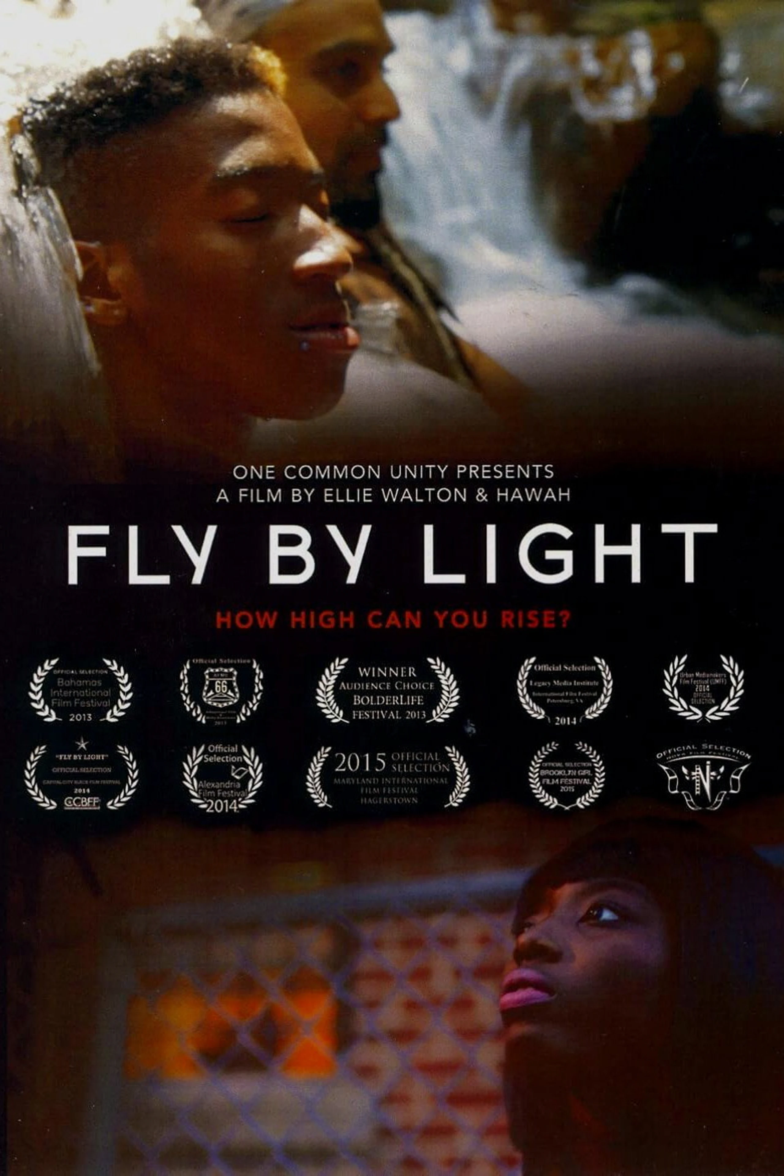 Fly by Light 2013