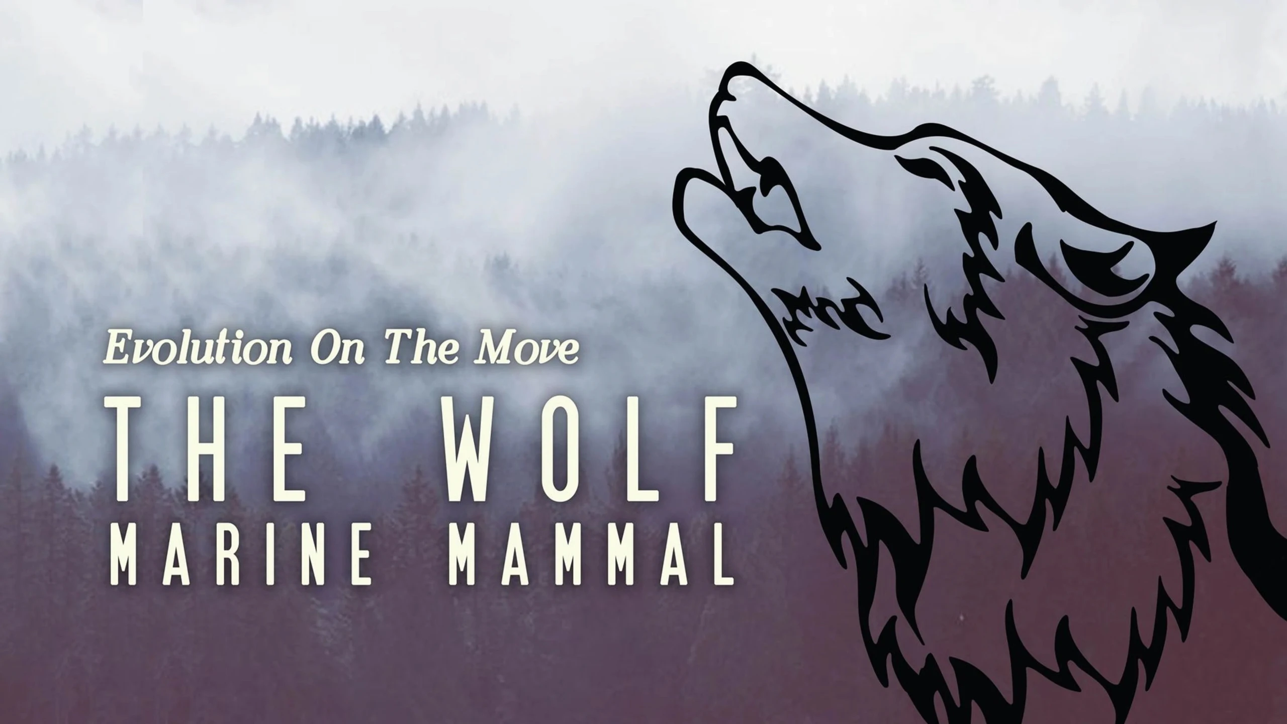The Wolf: Marine Mammal