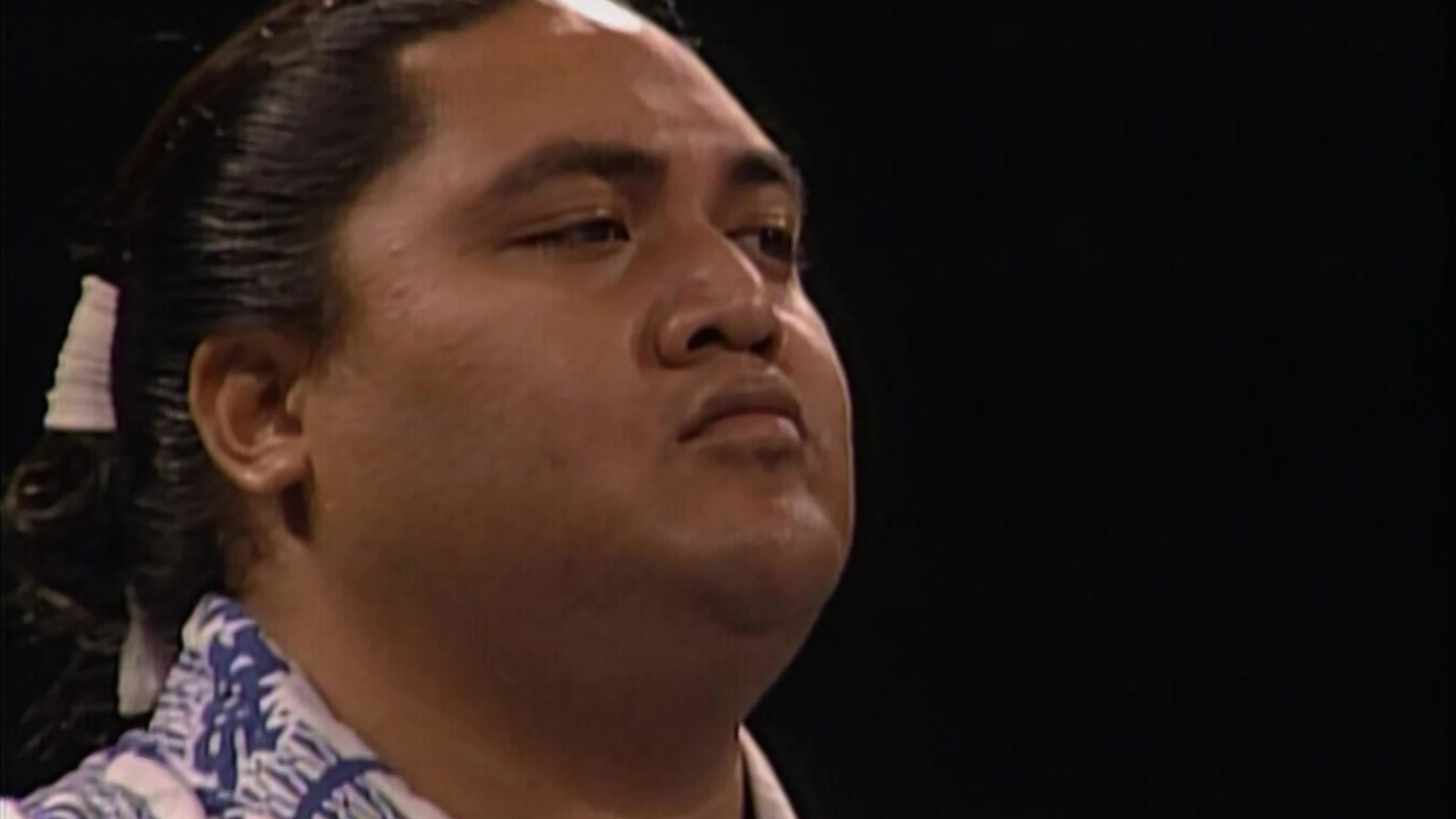 WWF Bashed in the USA