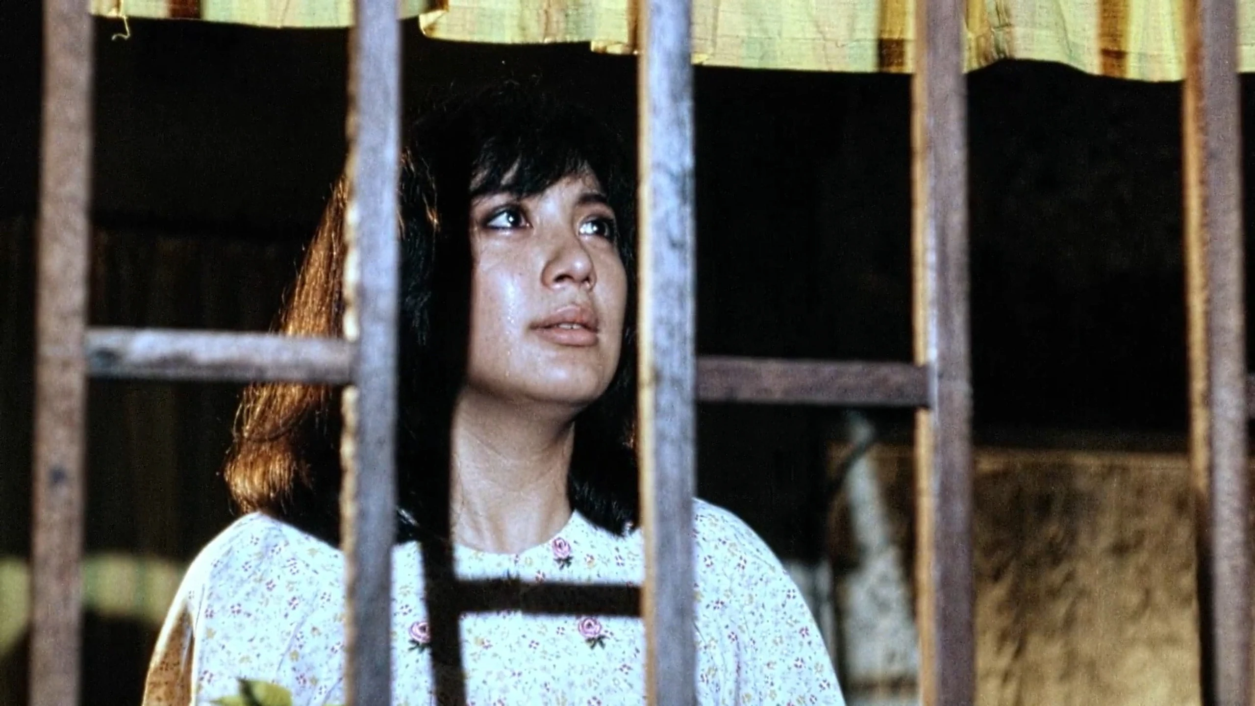 Bukas Luluhod Ang Mga Tala