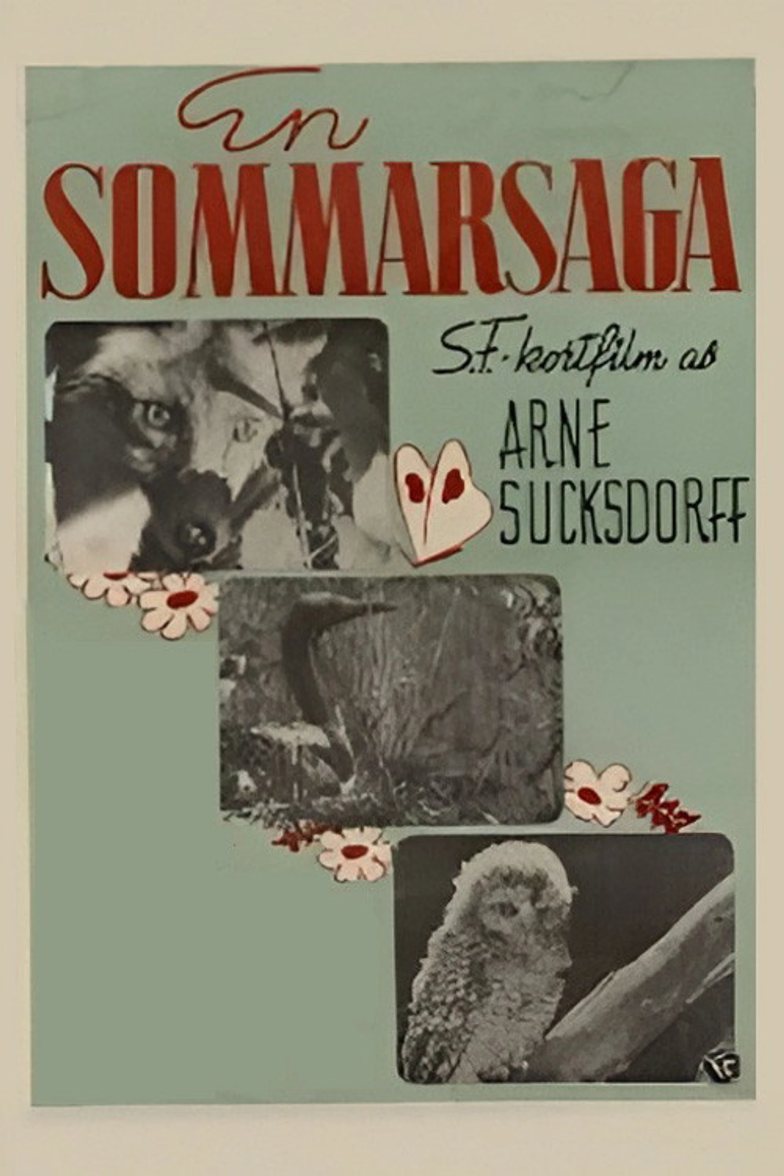 En sommarsaga