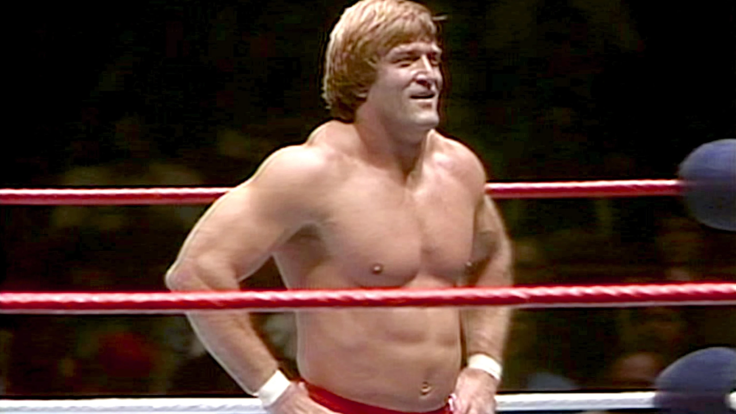 WWE: The Greatest Wrestling Stars of the 80's
