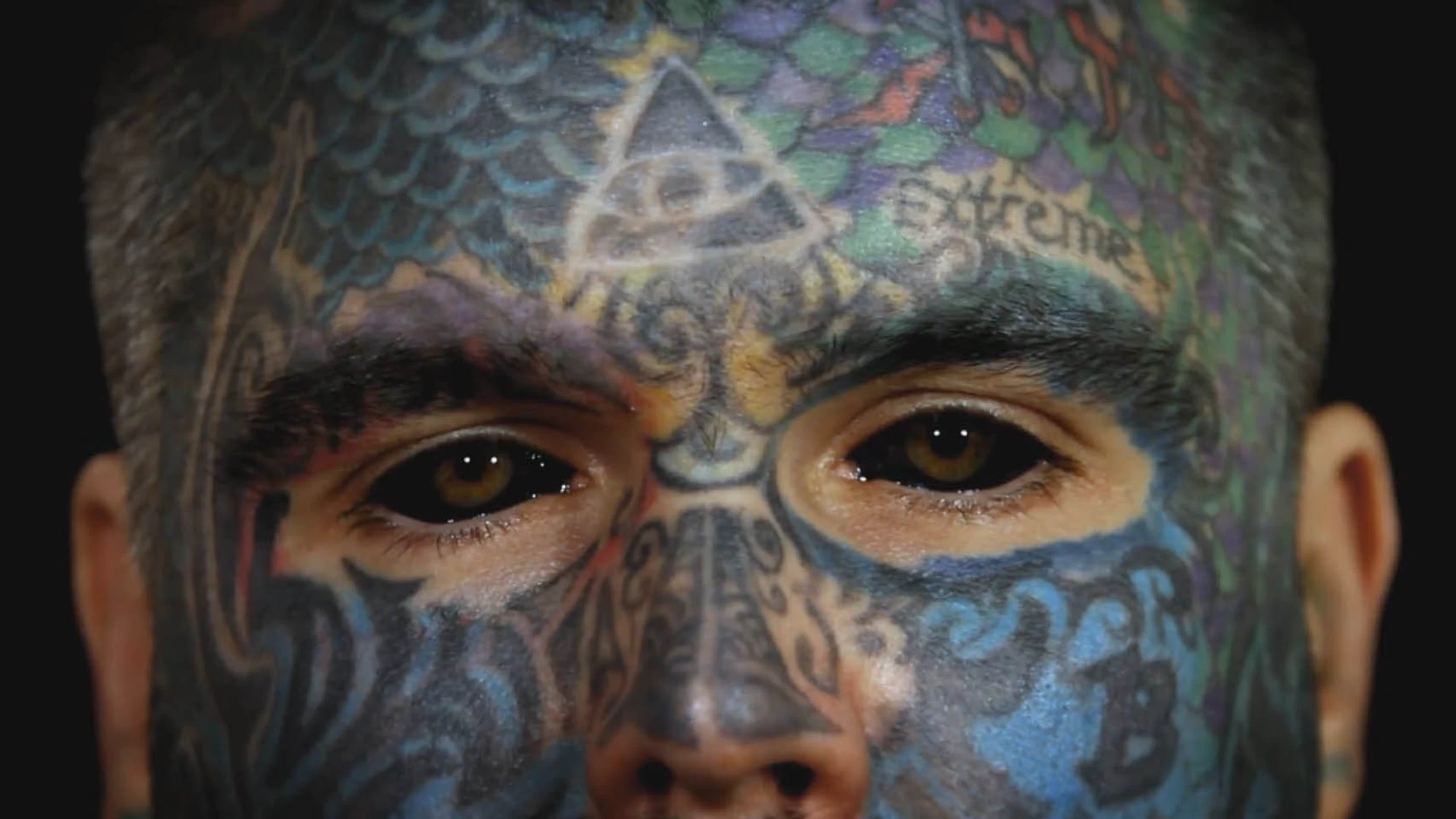 2,000 Tattoos, 40 Piercings and a Pickled Ear