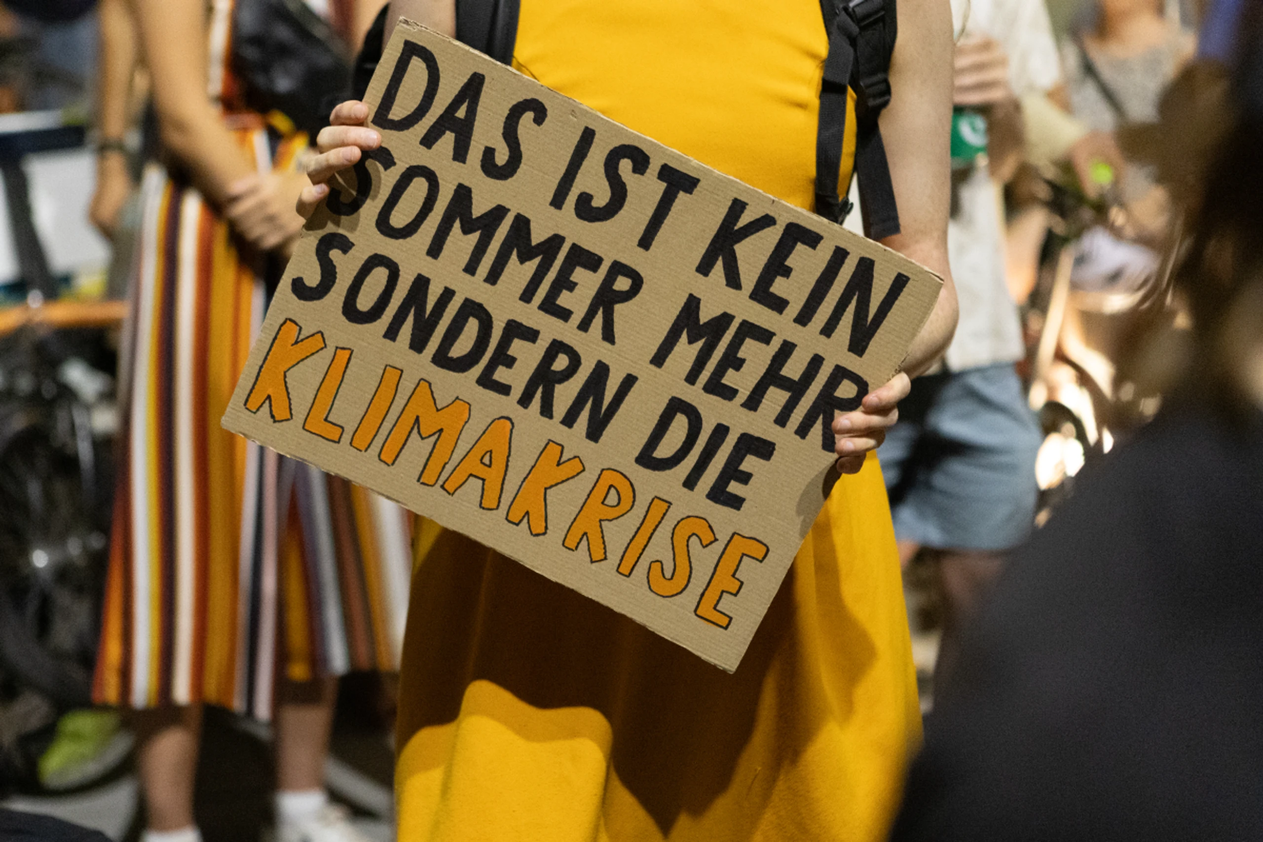Protest vor dem Parlament in Wien