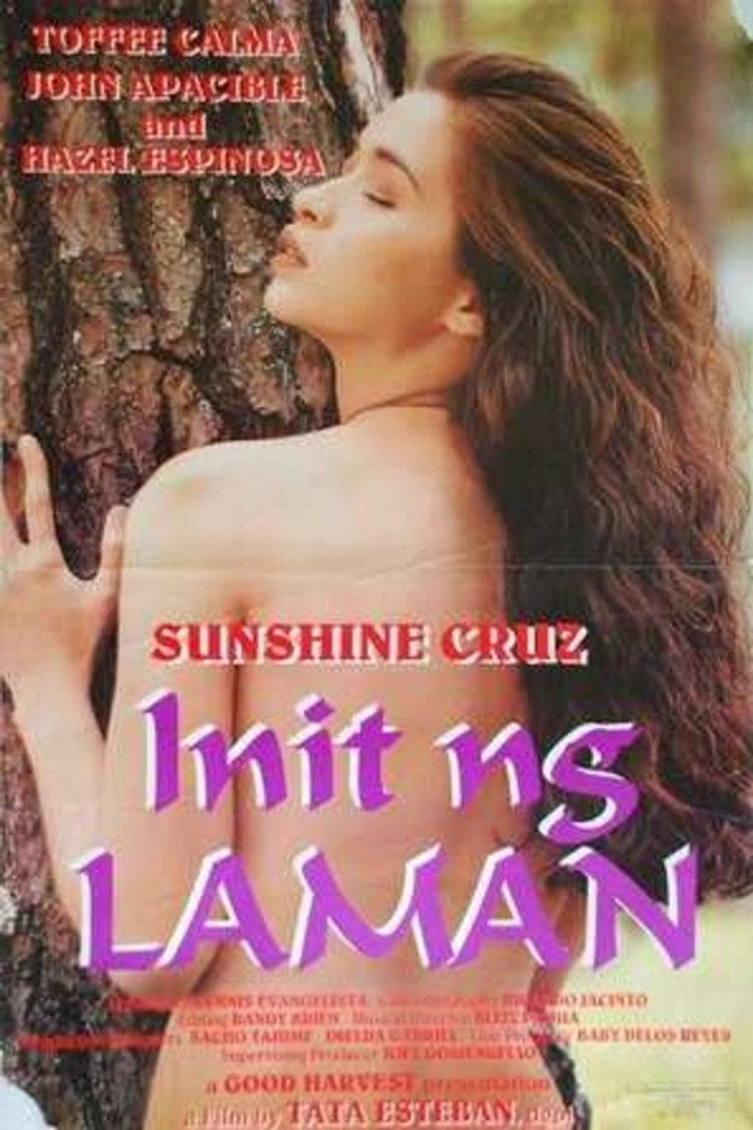 Init ng laman