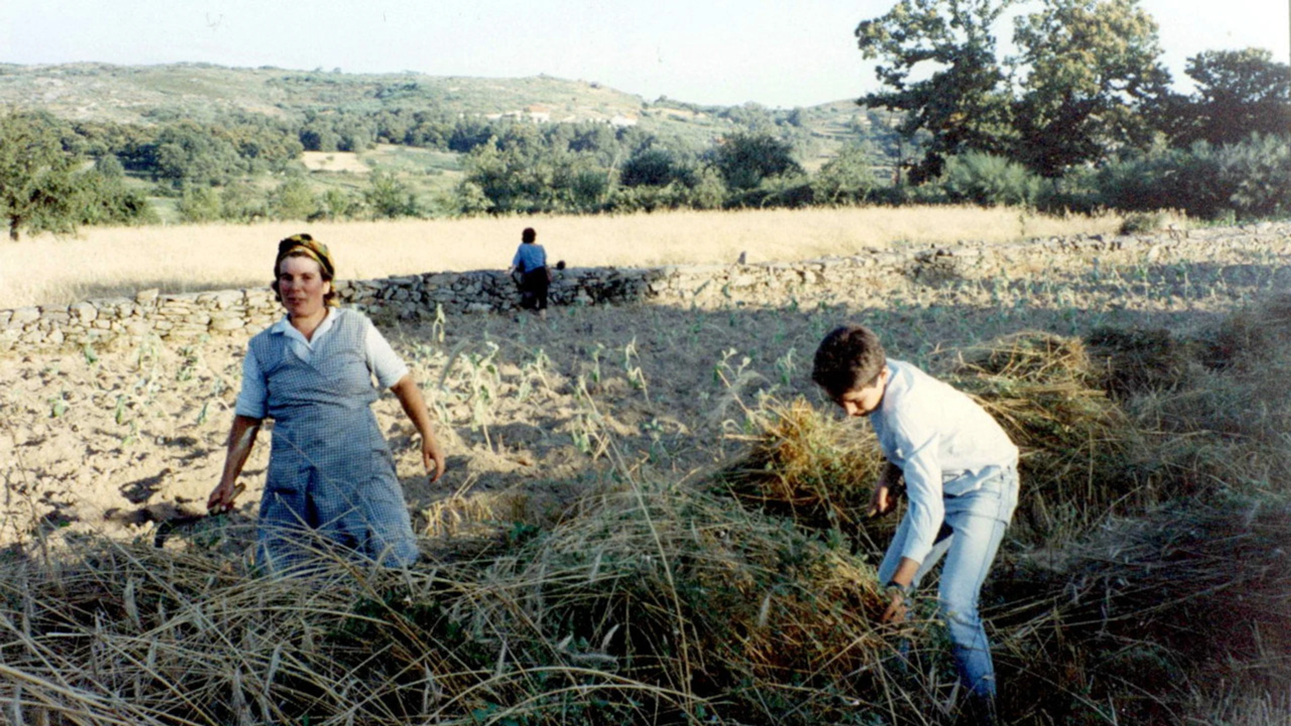 Terra de abril (Vilar de perdizes)