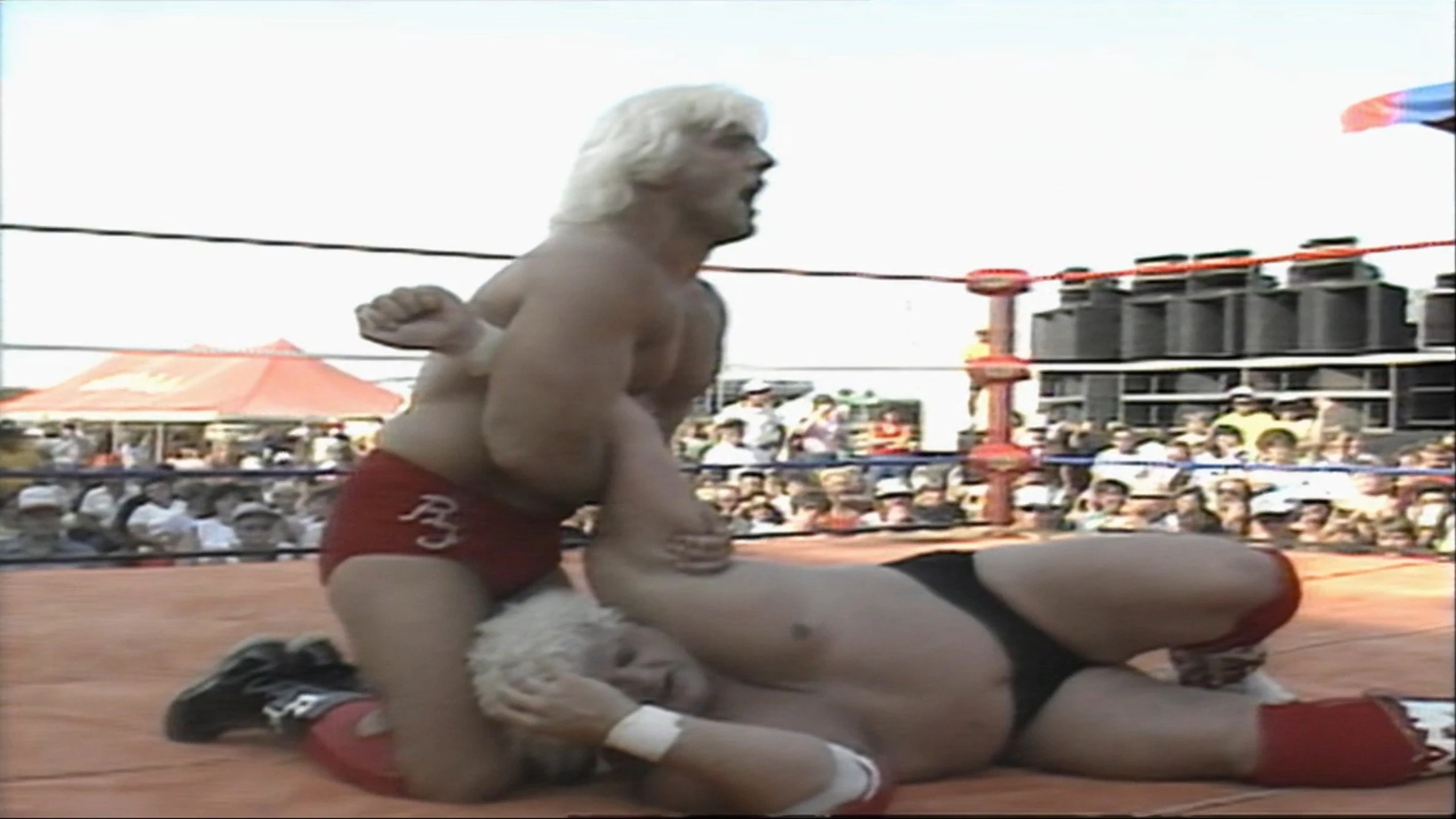 MSW WrestleFest